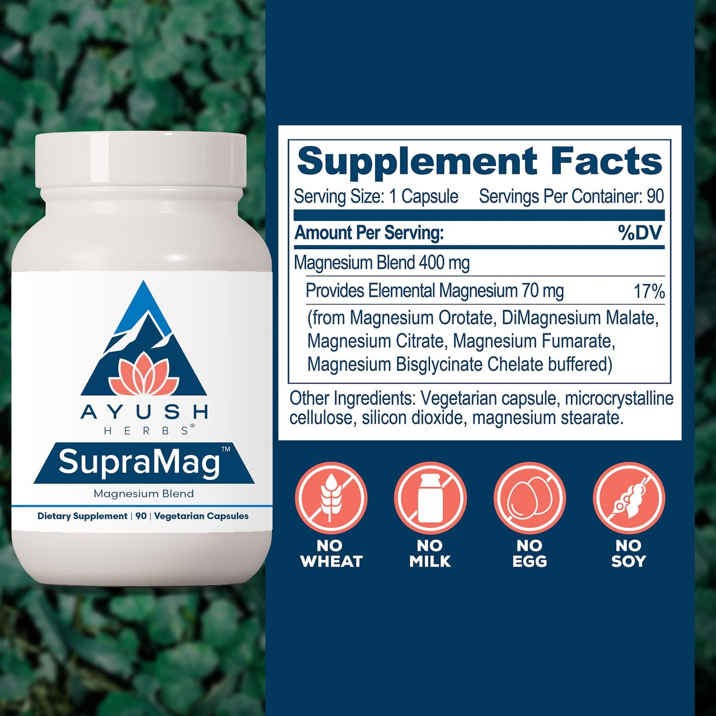Ayush Herbs SupraMag Magnesium Blend Citrate Capsule, 90 Capsules