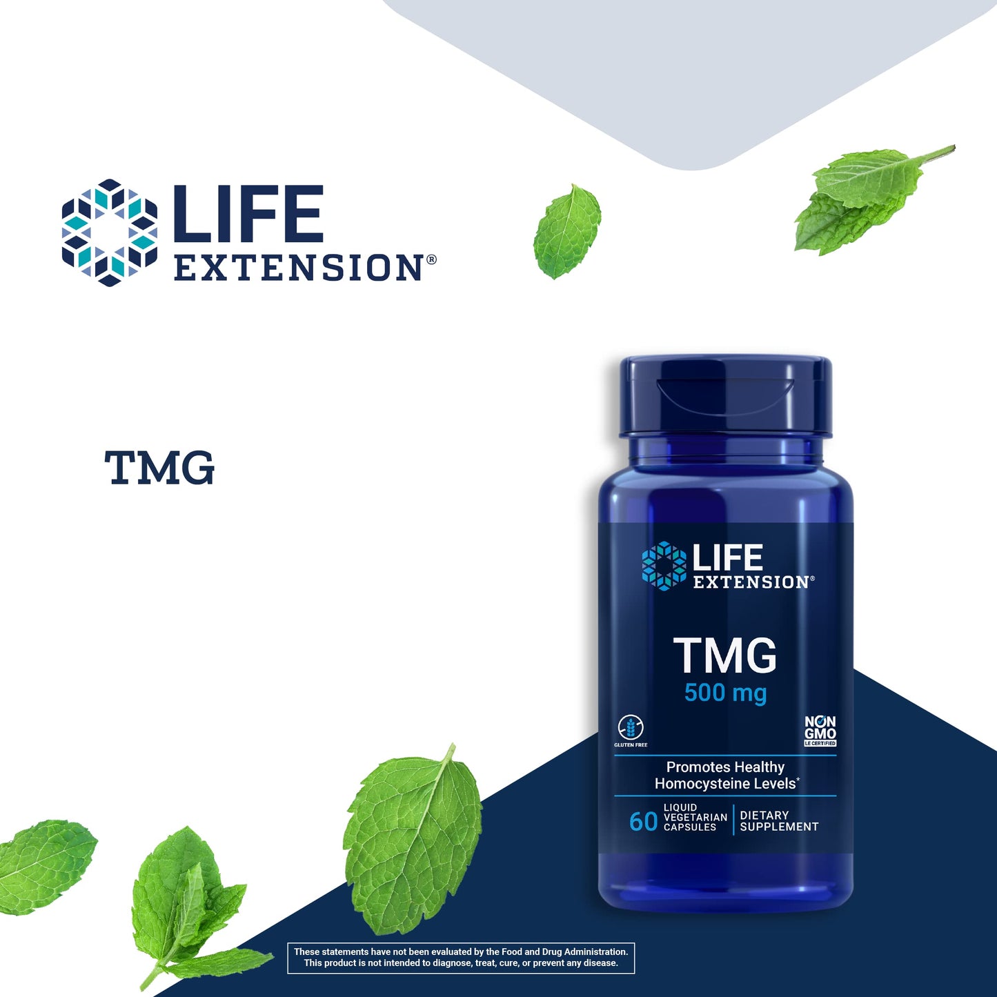 Life Extension TMG 500 mg Trimethylglycine Capsules, 120 Count