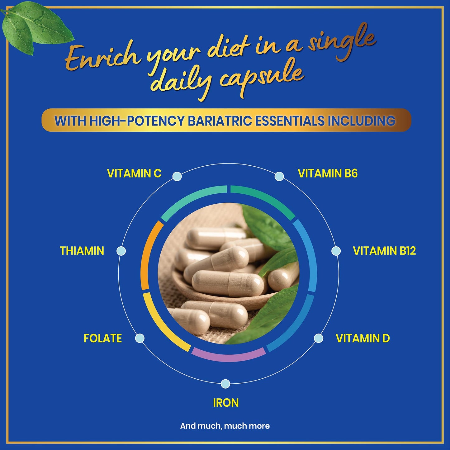 Windsor Botanicals Bariatric Multivitamin with Iron Capsule, 30 Count