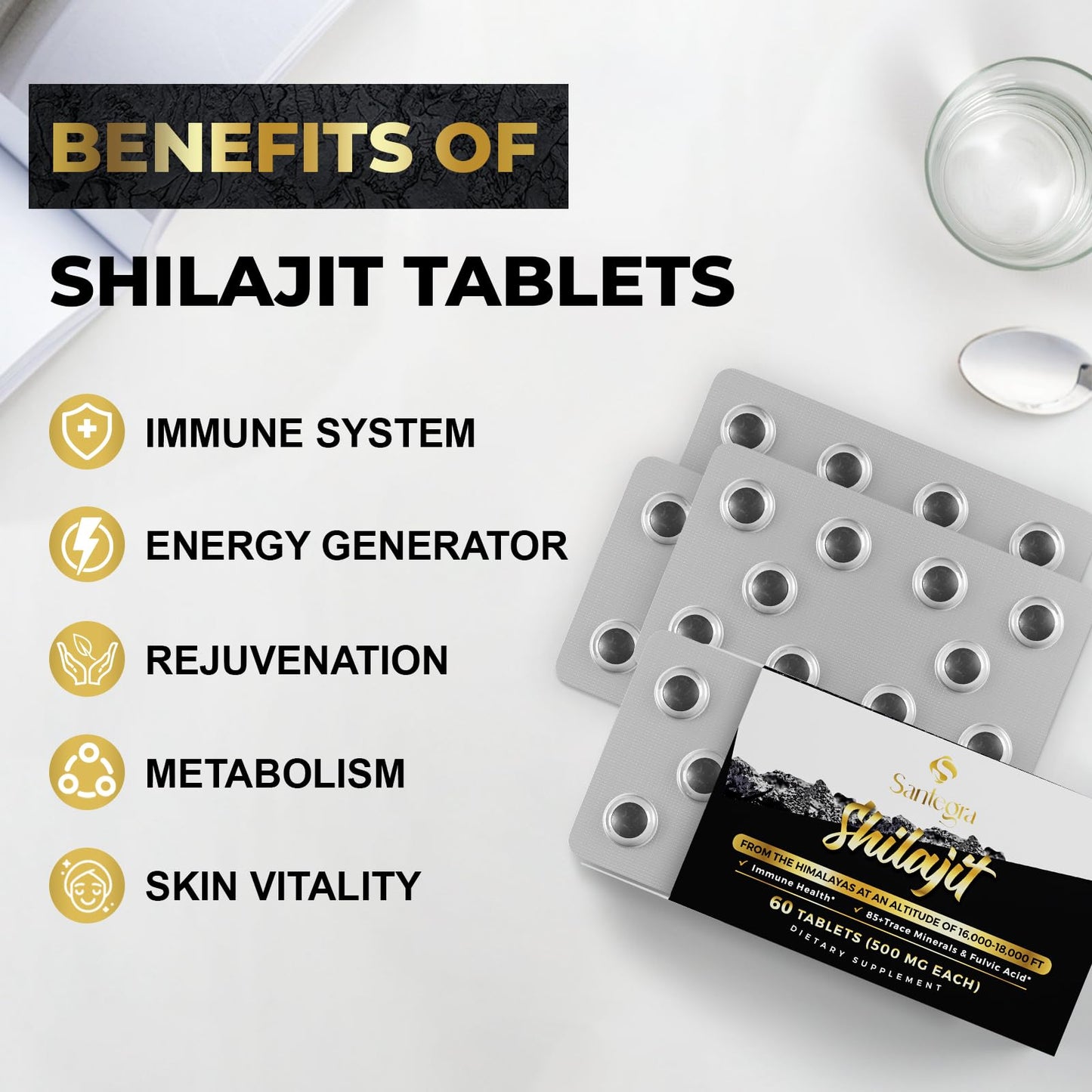 Santegra Shilajit 500 mg 120 Tablets