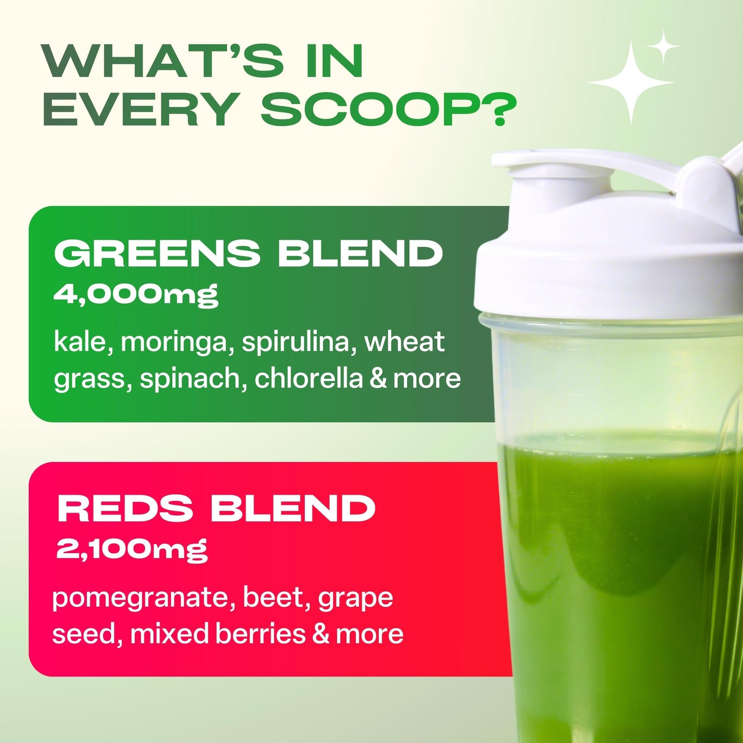 GOBIOTIX Super Greens Powder 2-Pack, Pomegranate Raspberry