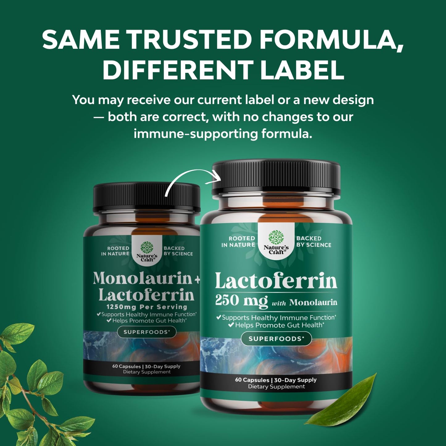 Natures Craft Lactoferrin & Monolaurin Capsule Supplement, 60 Count