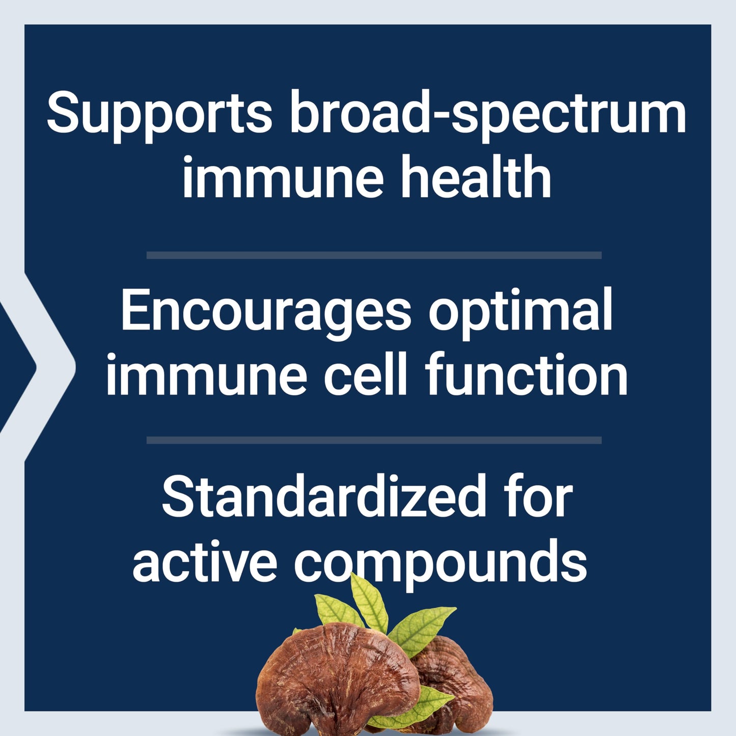 Life Extension Reishi Extract Mushroom Complex 60 Capsules