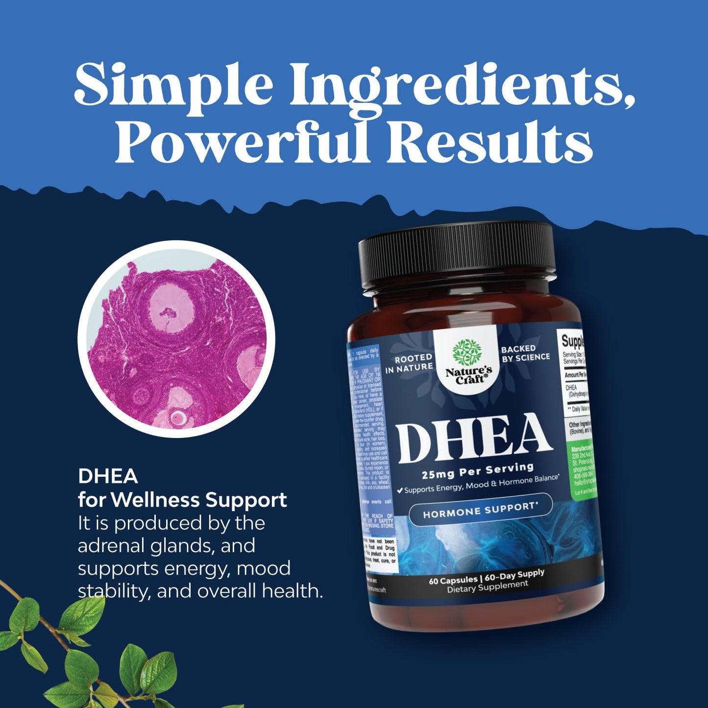 Natures Craft DHEA 25mg per Serving Capsule 60 Count