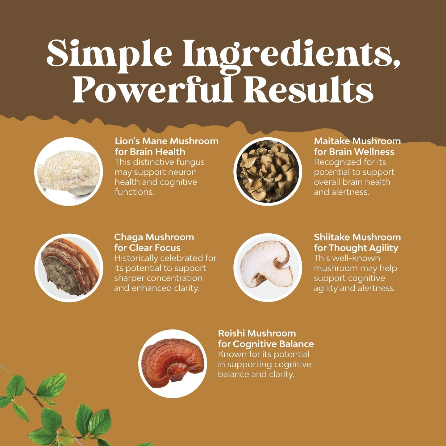 Natures Craft Lion's Mane Mushroom Capsules for Brain Fog with Reishi & Chaga, 30 Count