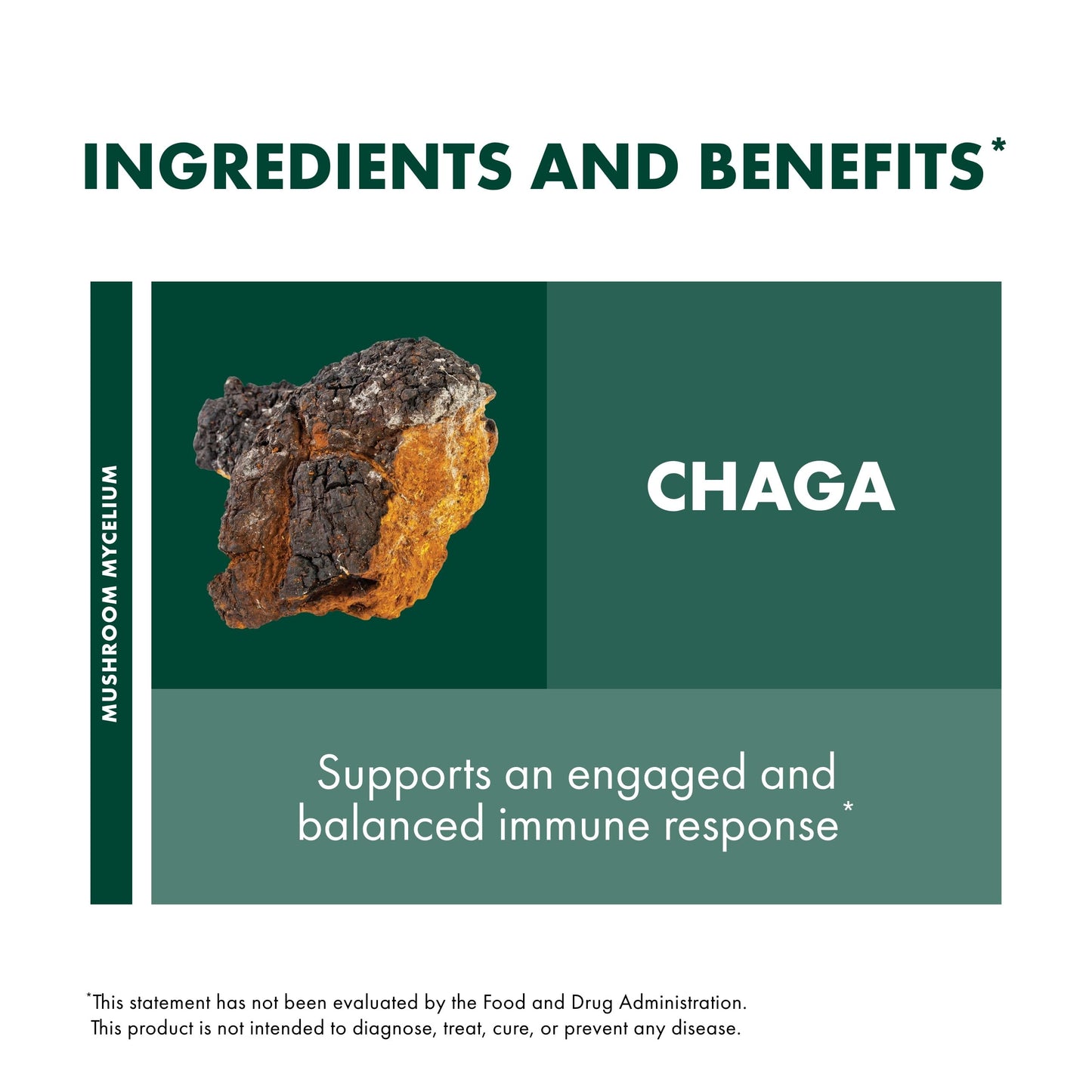 Host Defense Chaga Mushroom Capsules 60 Count