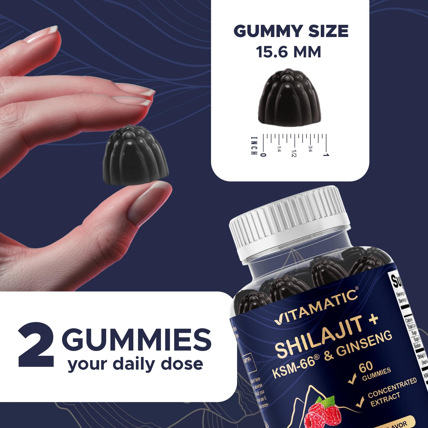 Vitamatic Shilajit with KSM-66 Ashwagandha & Ginseng Extract Gummies, 60 Count