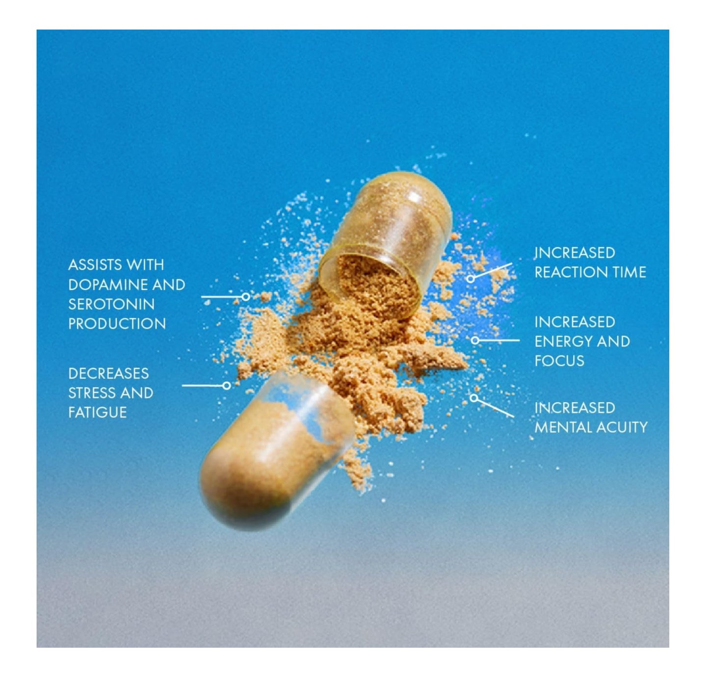 THEROOTBRANDS Root Wellness Zero-in by Dr. Rahm - Combination of Turmeric, Pine Bark Extract, 15 Capsules