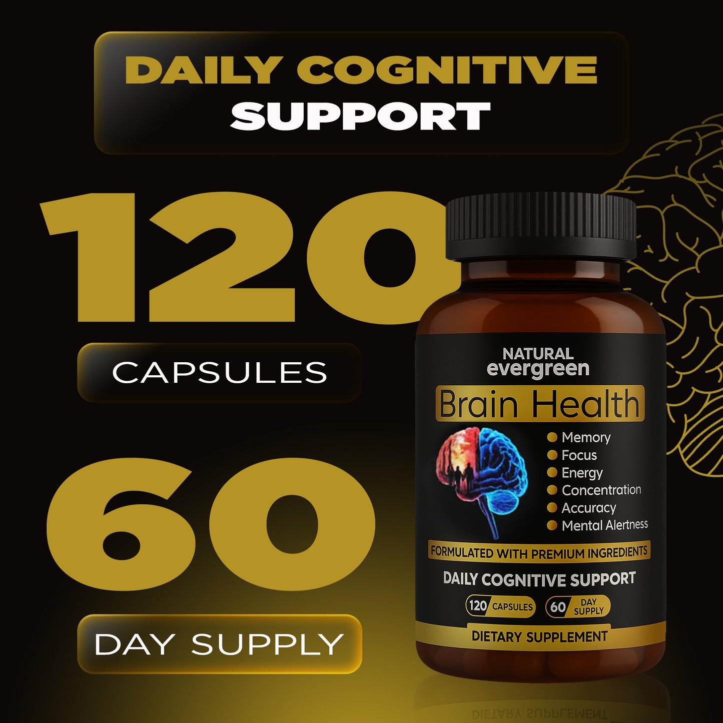 Natural Evergreen Brain Supplements for Memory and Focus Nootropic Capsule, 120 Count