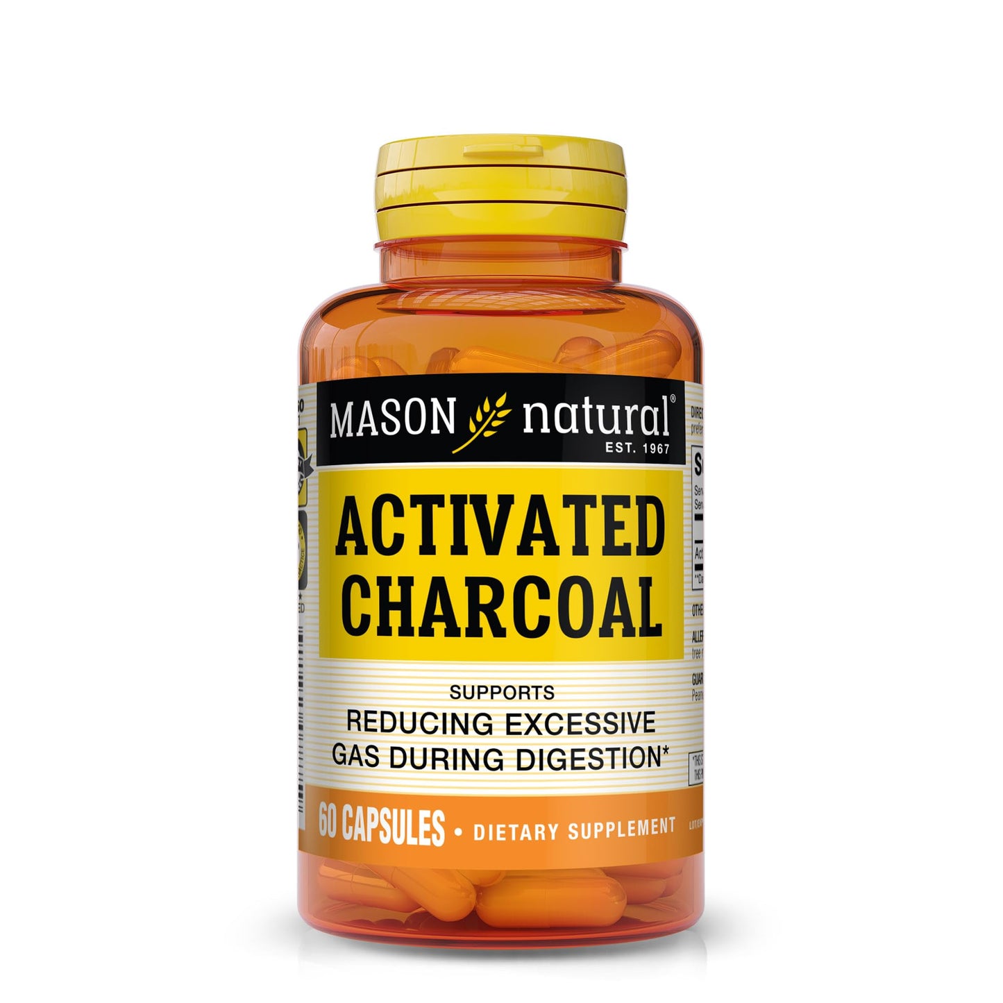 MASON NATURAL Activated Charcoal Capsules 60 Count