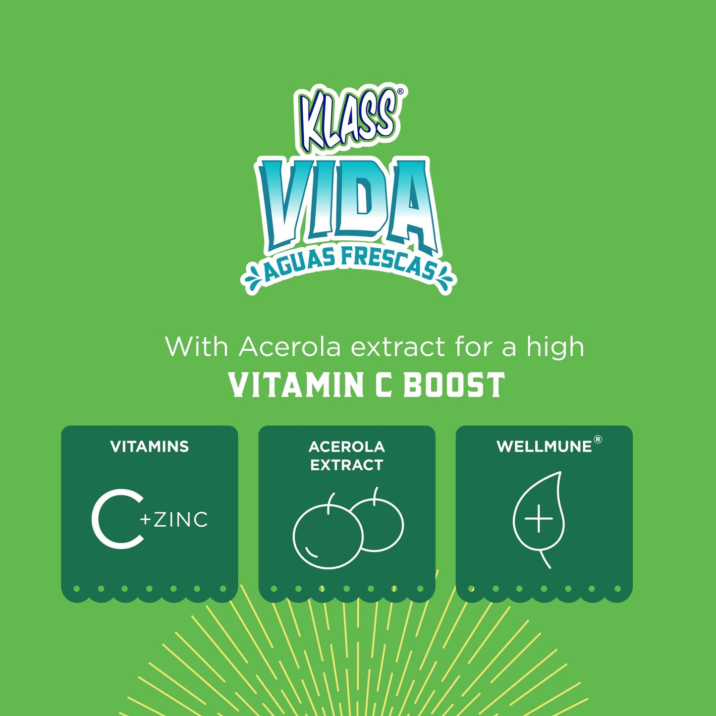 KLASS VIDA Hydration + Immunity Variety Pack Electrolytes Powder, 15 Sticks