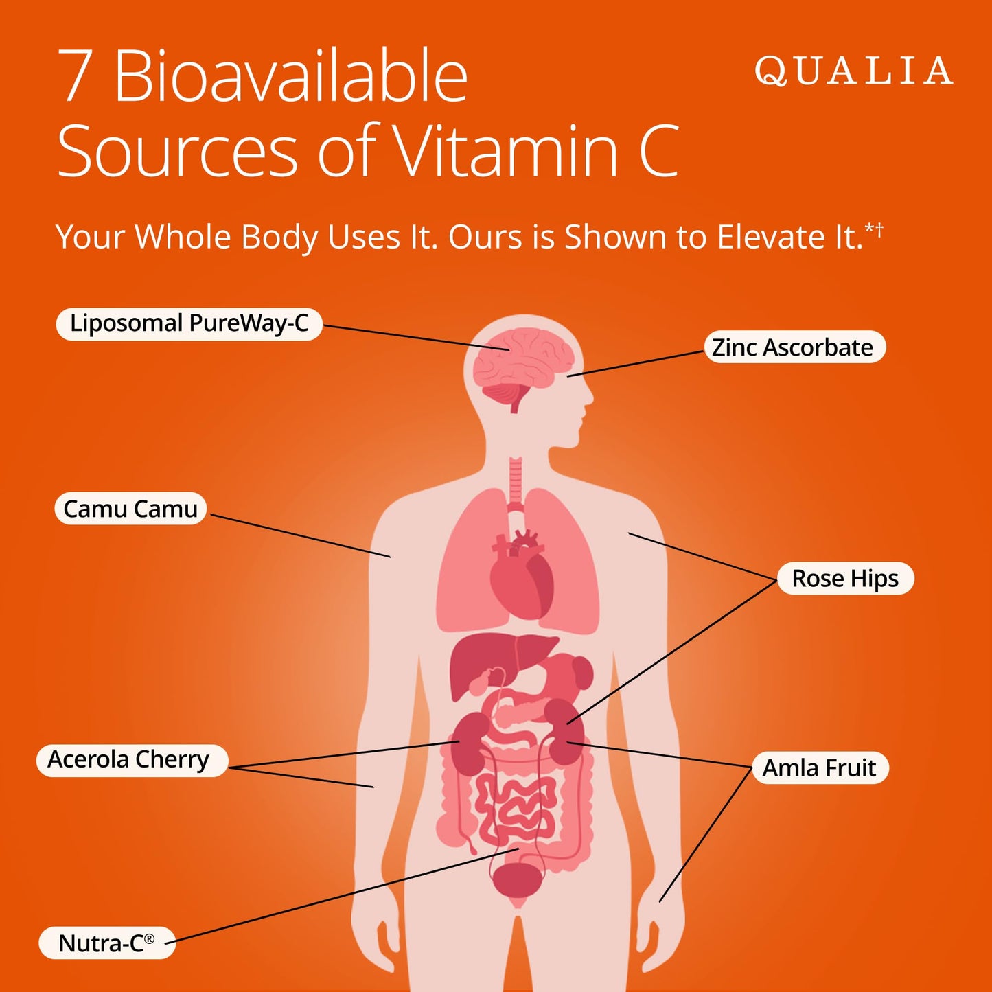 Qualia Life Sciences Vitamin C+ 500 mg Capsules, 112 Capsules