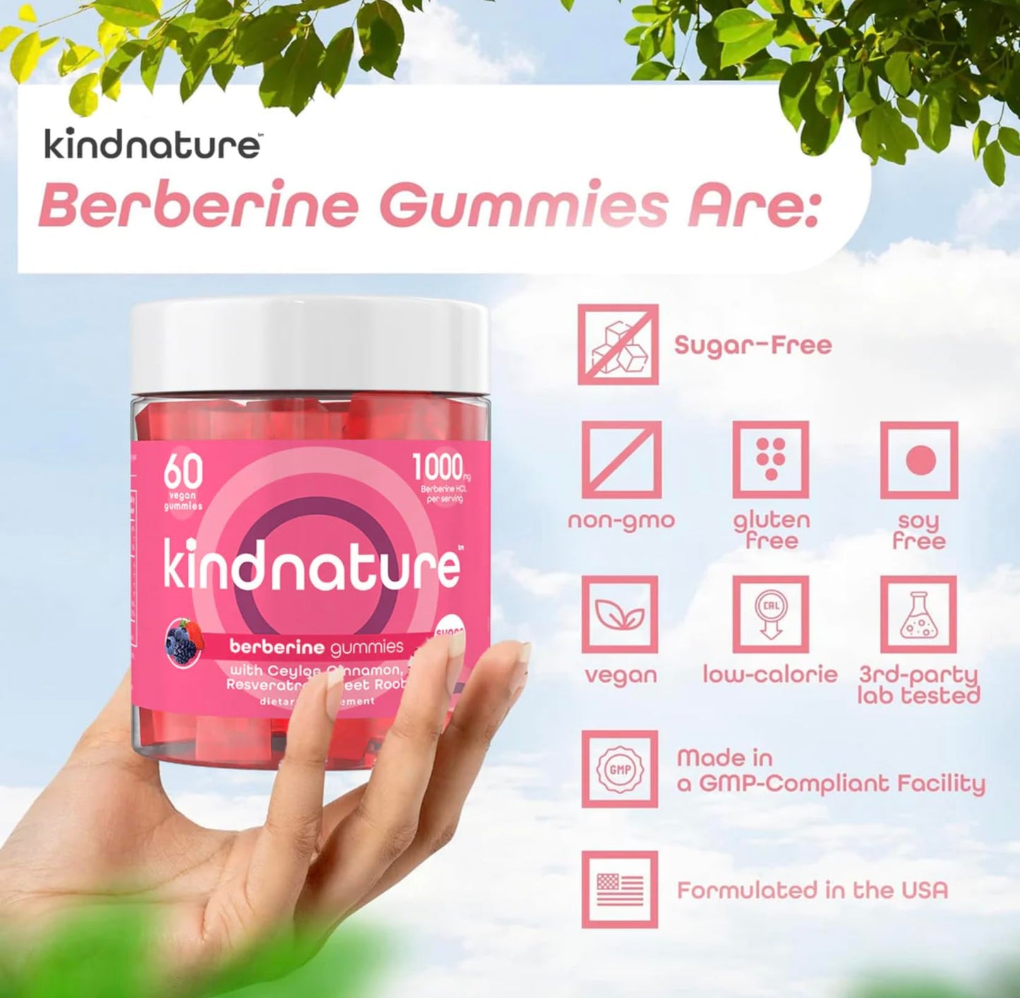 kindnature Berberine Gummies 1000mg with Ceylon Cinnamon & Resveratrol – 6-in-1 Blood Sugar Support Supplement – Metabolism & Weight Wellness – Sugar-Free, Vegan, Non-GMO, 60 Gummies