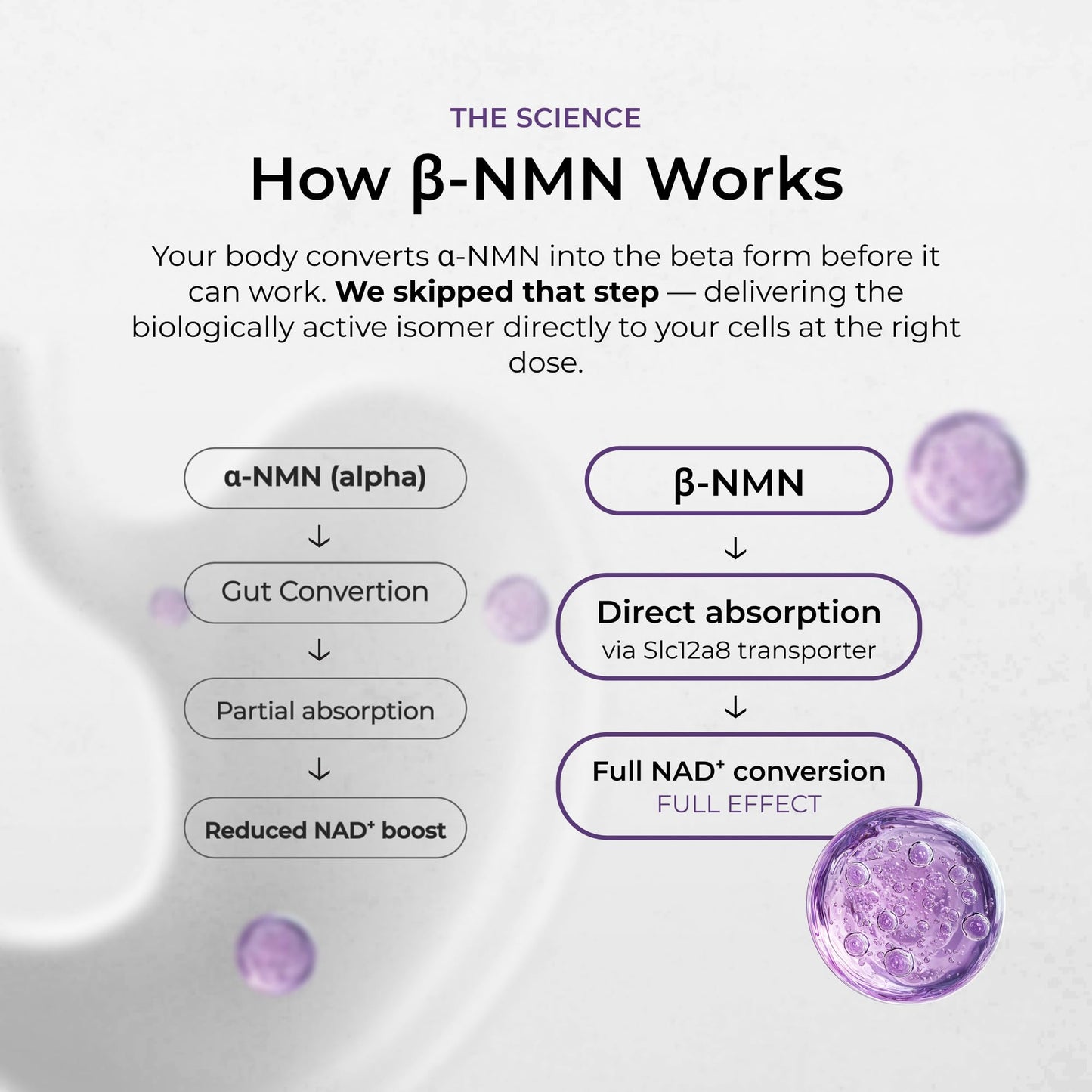 Neurogan Beta NMN (β-NMN) Supplement, 90 Capsules