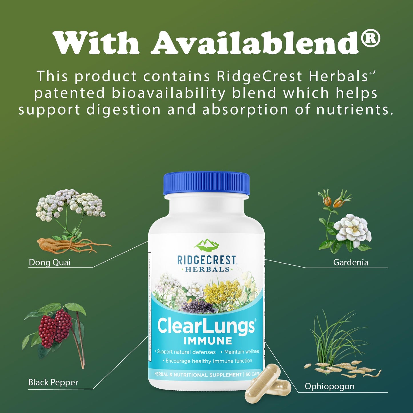 RidgeCrest Herbals ClearLungs Immune, Lung Support Supplement Capsules 60
