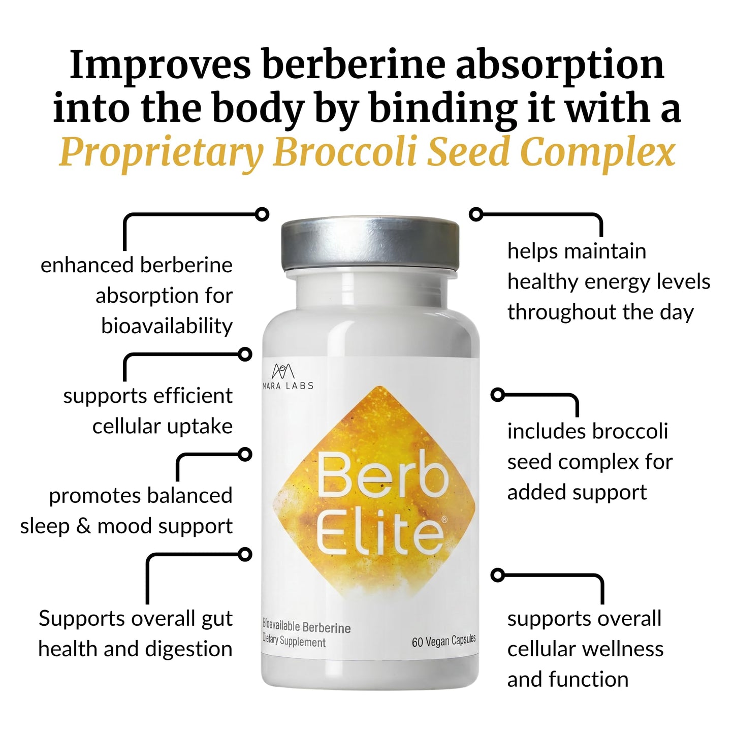 BrocElite BerbElite Berberine HCL 350mg & Broccoli Seed Complex 60 Capsules