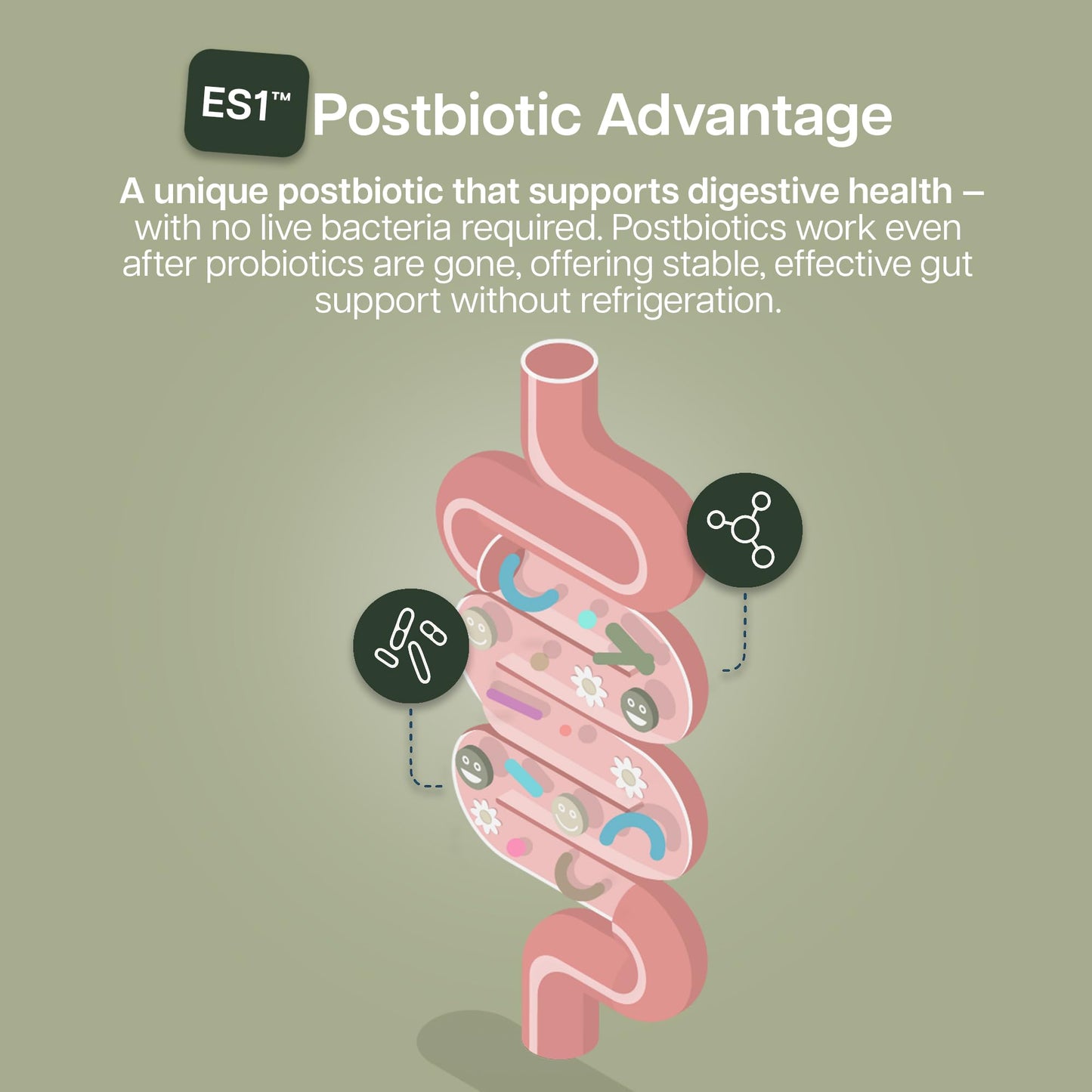 Houston Enzymes BioYummies Postbiotic Digestive Health Supplement with ES1 Postbiotics, Gut Health for Men & Women, Metabolites from Prebiotics and Probiotics, 60 Fruit Punch Flavor Chewable Gummies, 1 Count