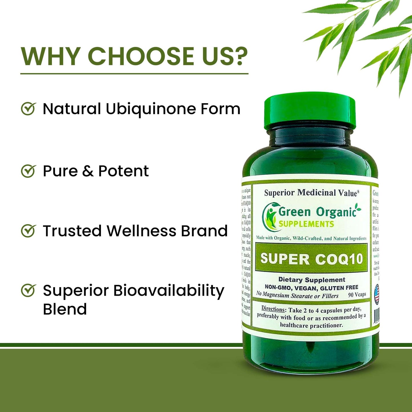 Green Organic Supplements CoQ10 (Ubiquinone), 90 Capsules