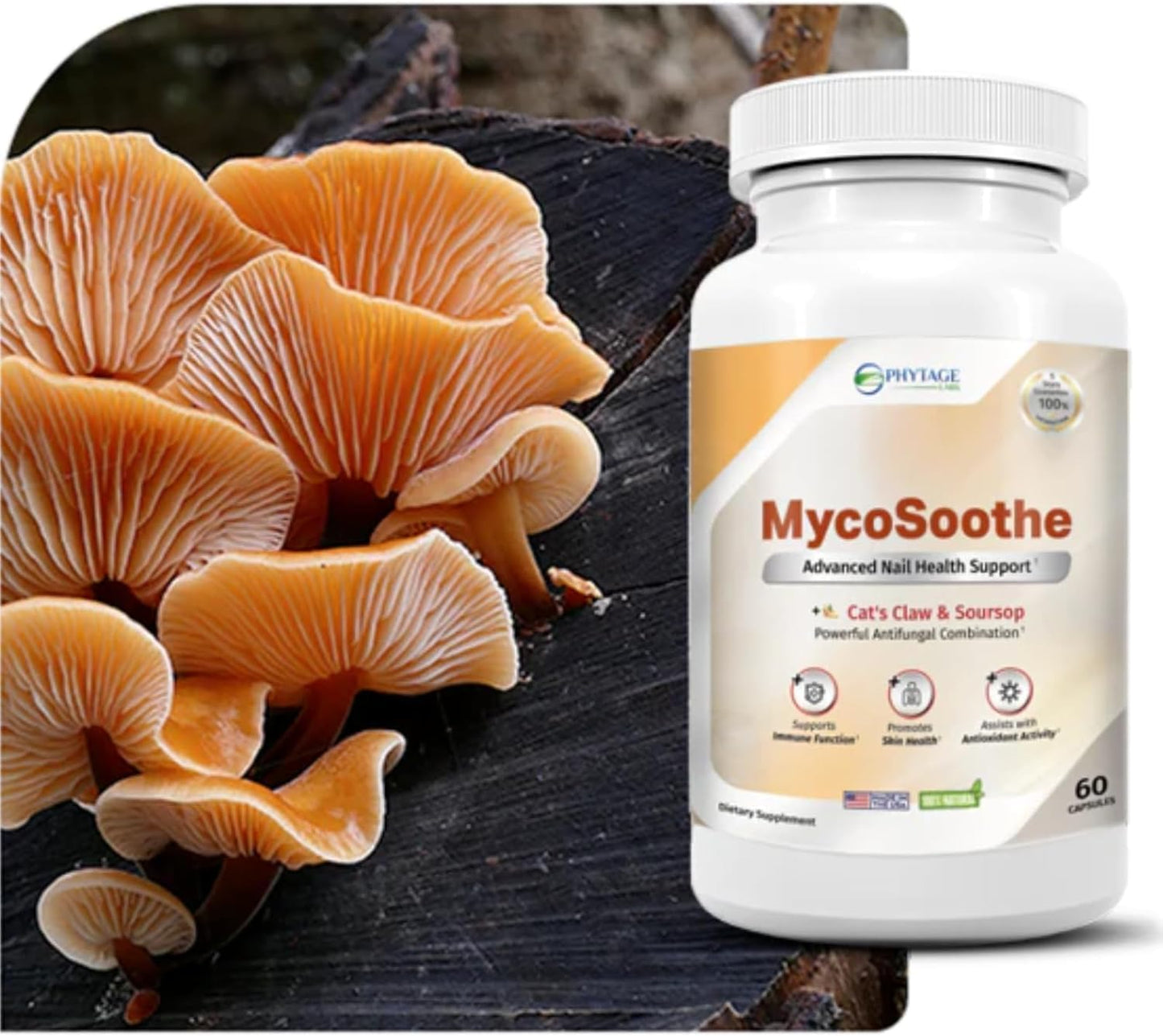 Phytage Labs MycoSoothe Advanced Hair, Skin, Nail & Immunity Support Formula 60 Capsules