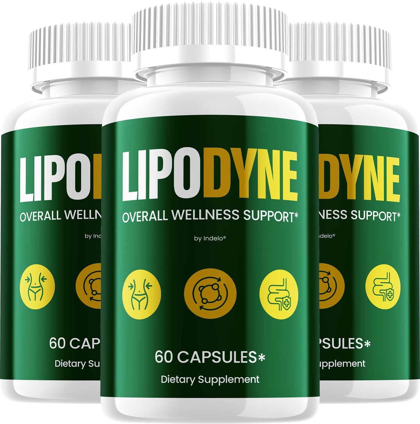 Indelo Lipodyne Advanced Capsule Formula Supplement Pills for Daily Health & Wellness Support, 180 Capsules
