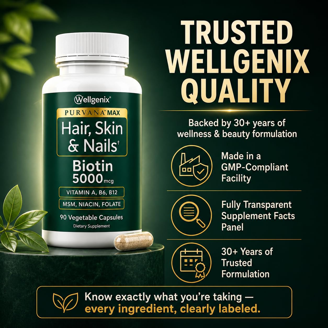 Wellgenix Purvana MAX Hair Skin & Nails Vitamins Biotin 5000mcg Capsule, 90 Count