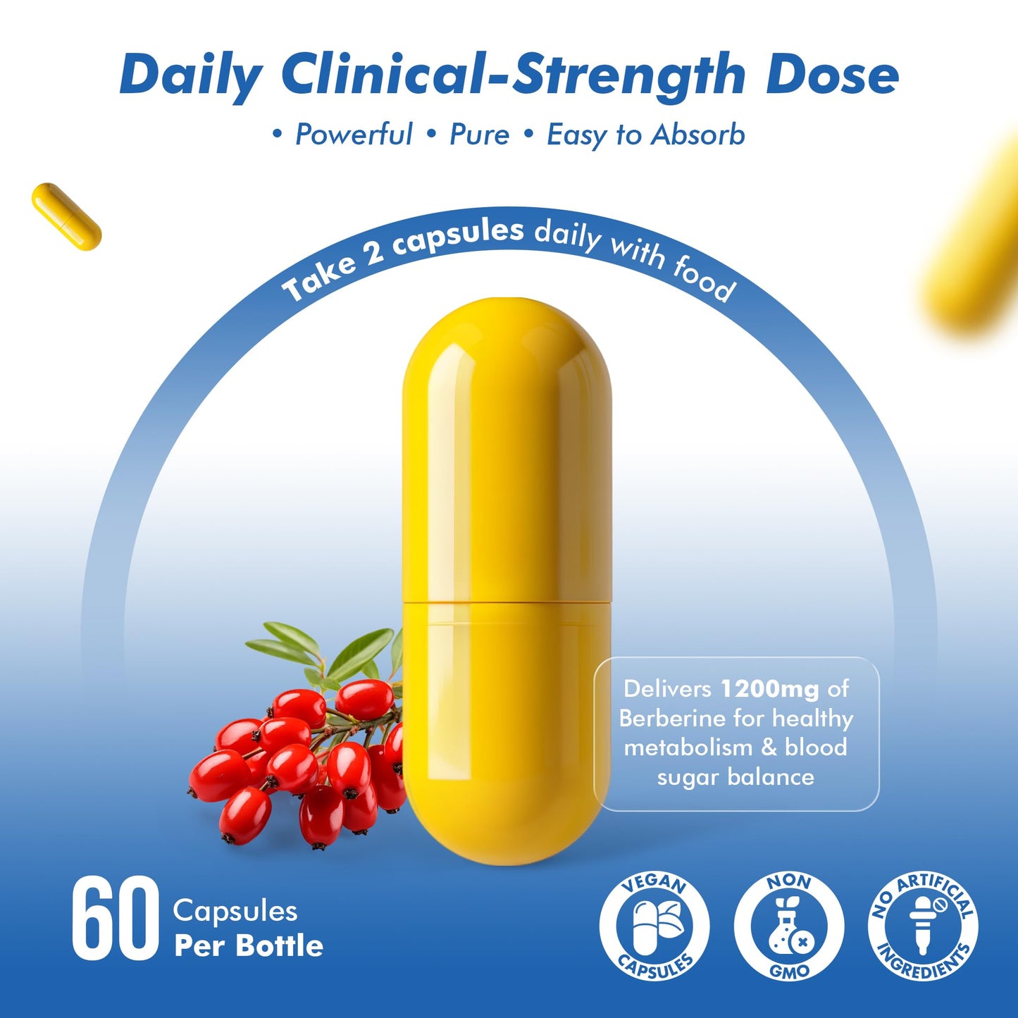 HERVIVA Berberine 1200mg Capsules, 60 Count