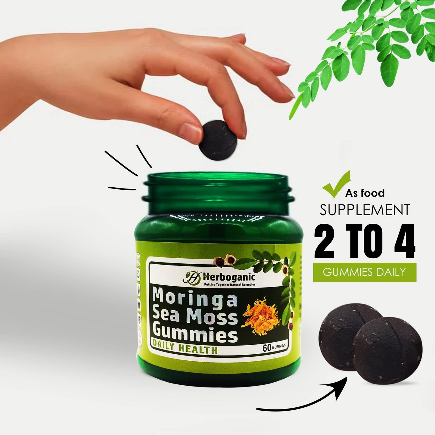 HERBOGANIC Moringa Sea Moss Gummies 60 Count