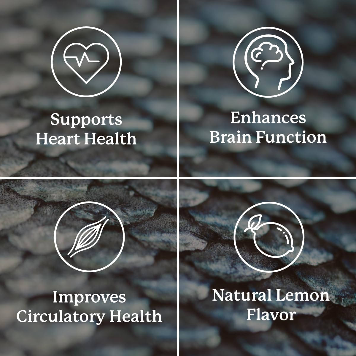Nature's Sunshine Super Omega-3 EPA Softgel 180