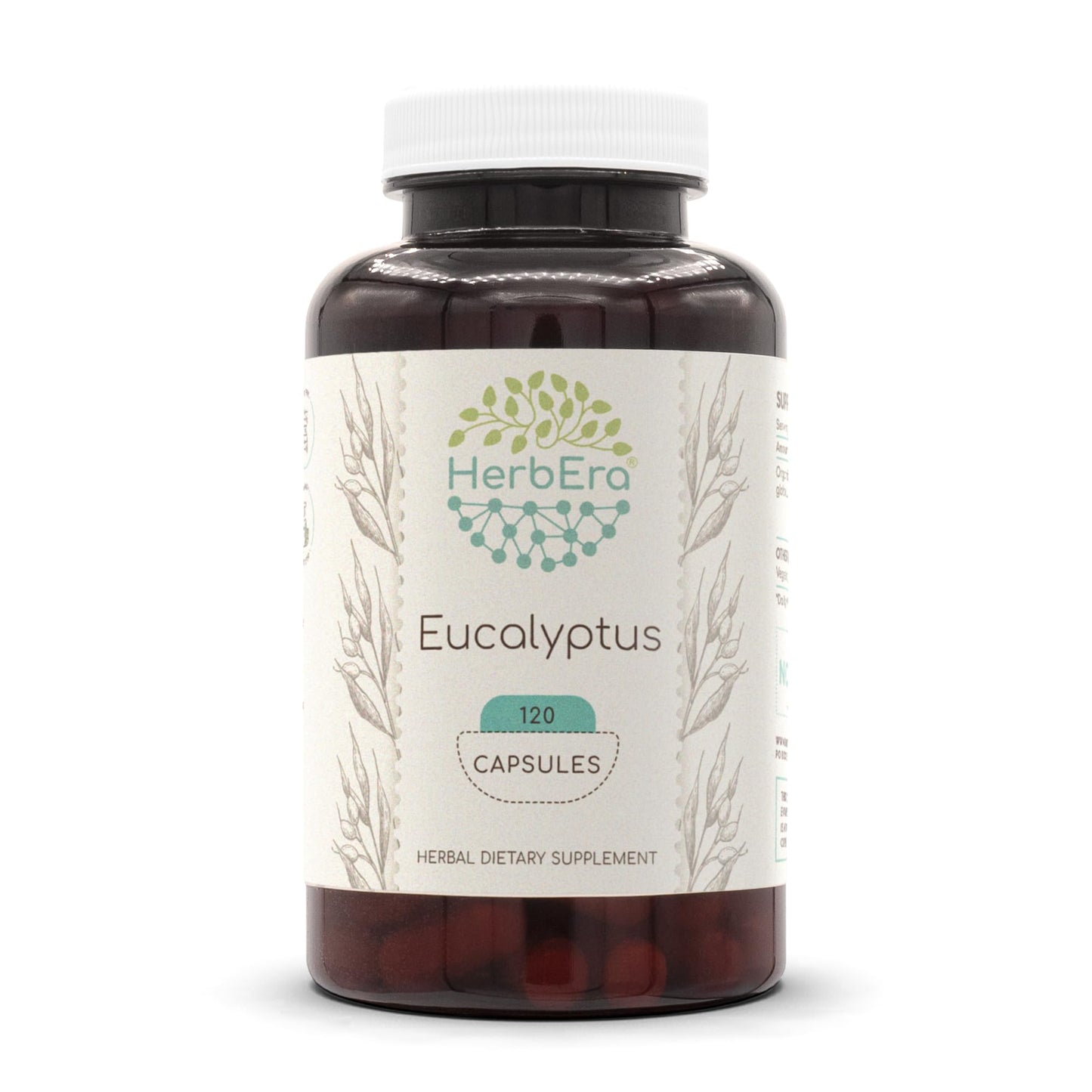 HerbEra Eucalyptus Globulus Dried Leaf 400mg Capsules, 120 Count