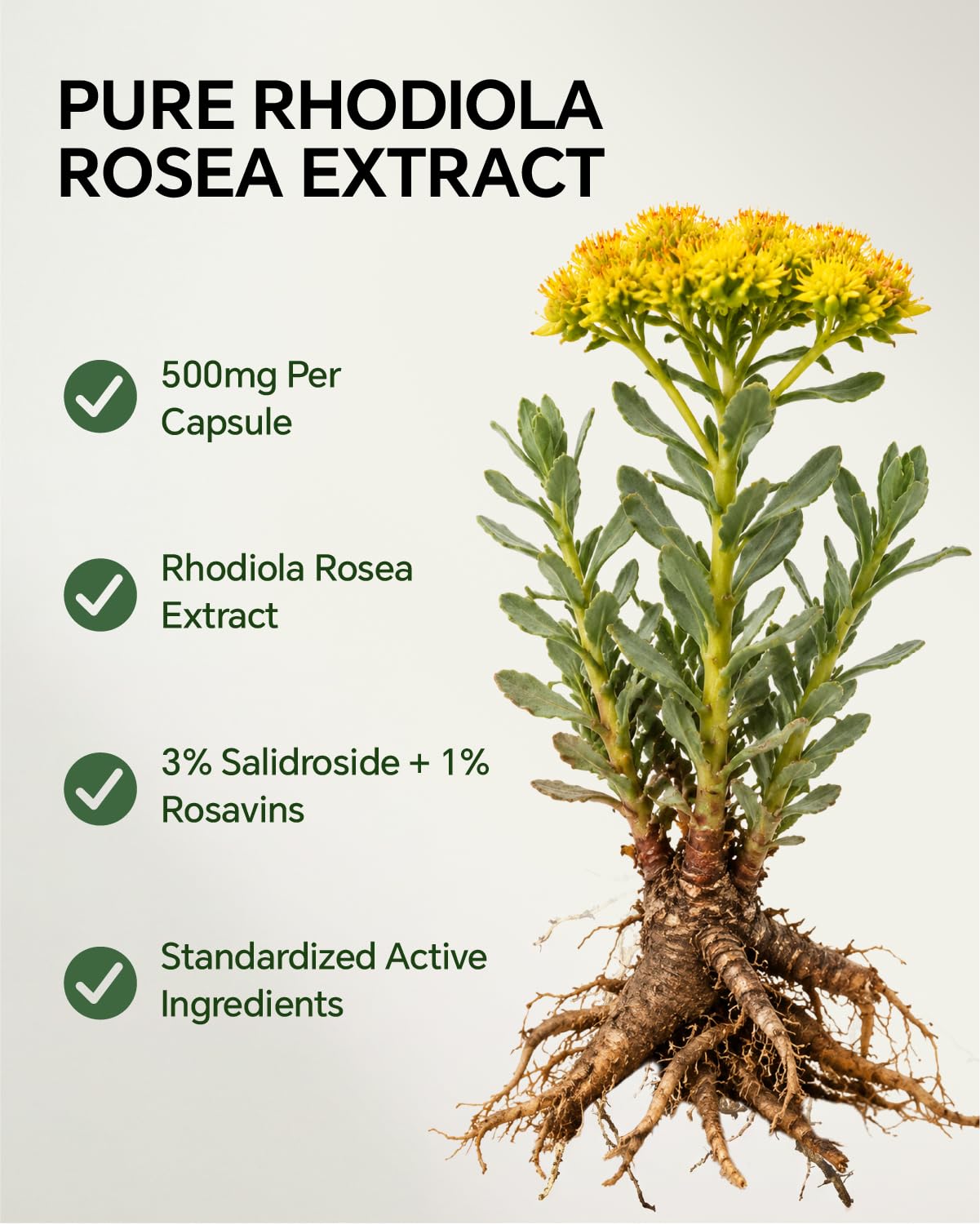 Blavenique Rhodiola Rosea Supplement 120 Capsules