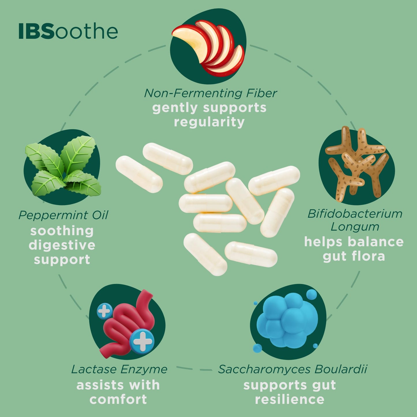 DR. GOODGUT IBSoothe Digestive Health Supplement for Women & Men with Fiber, Probiotics, Enzymes & Peppermint Oil for Gas Relief, IBS/Constipation Relief, 90 Capsules