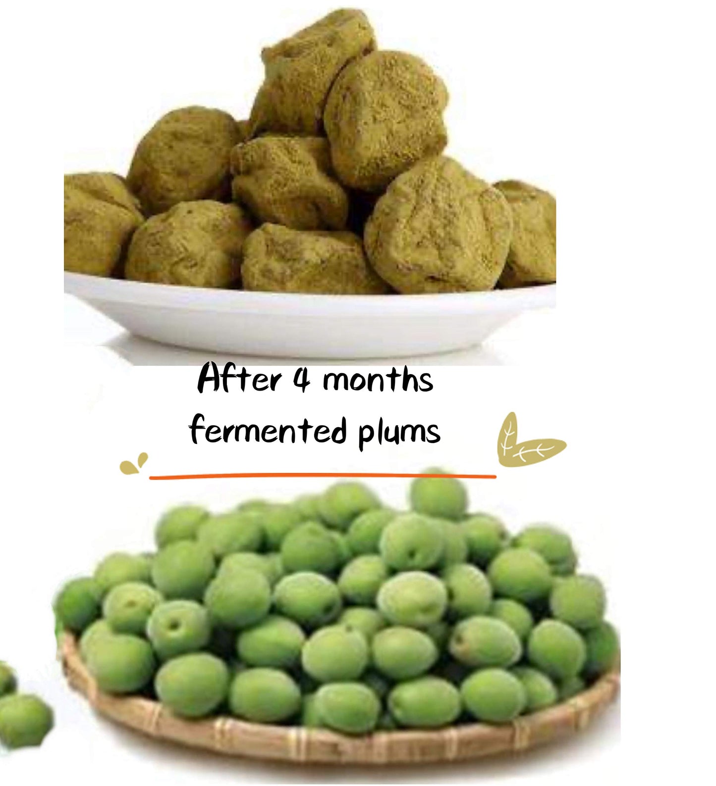Shunbianmei Fermented Green Plum Apricot Chewable 15 Packs