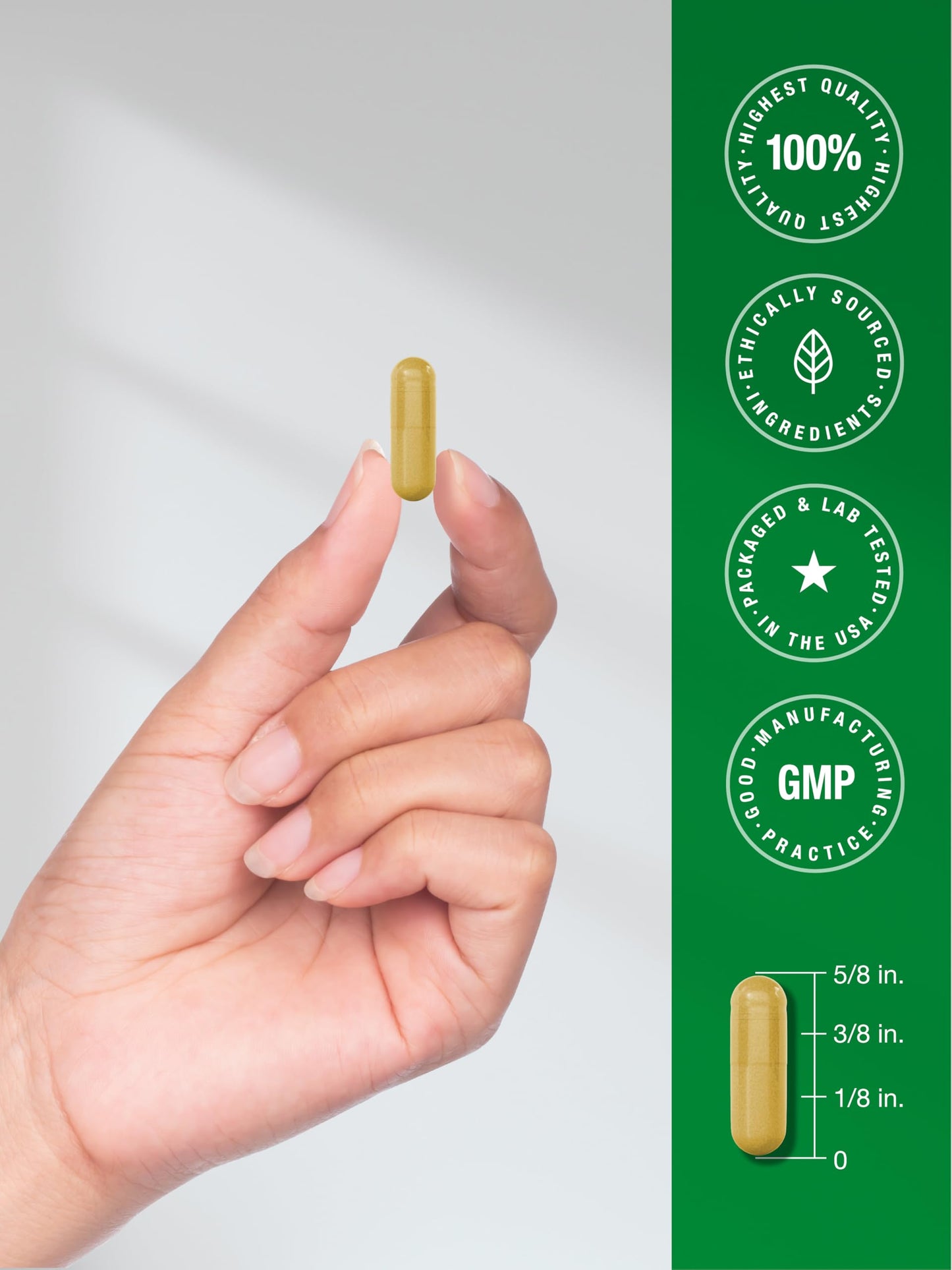 Horbäach Berberine Complex Capsule 60 Count