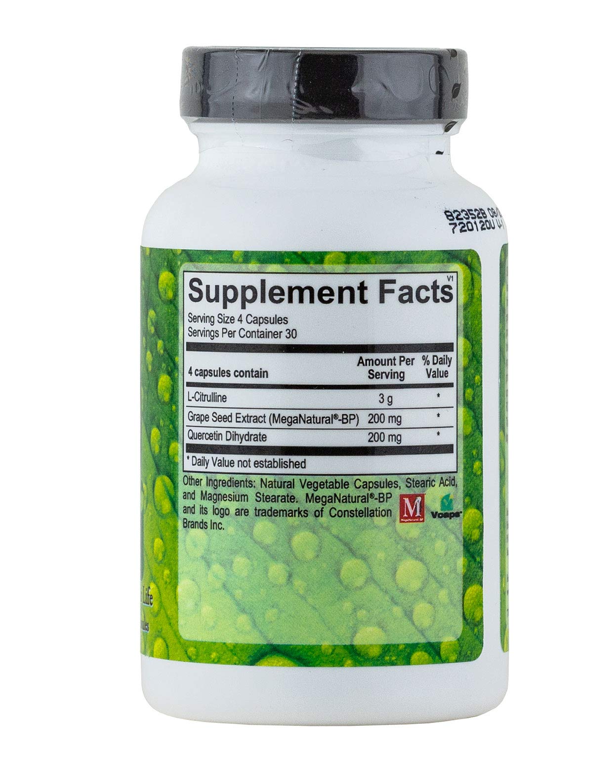Dr. Joe's Nitric Oxide Support Capsule 120 Count