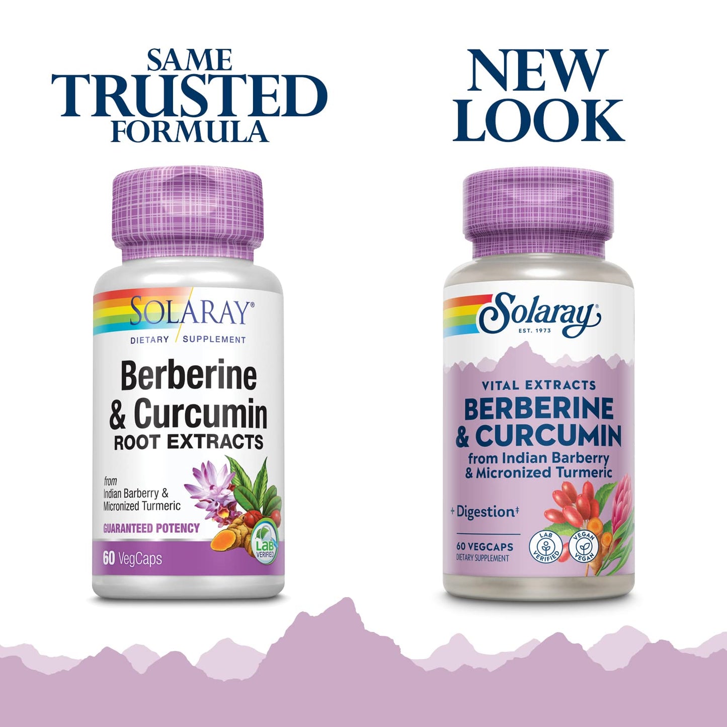 Solaray Berberine & Curcumin Capsules, 60 Count