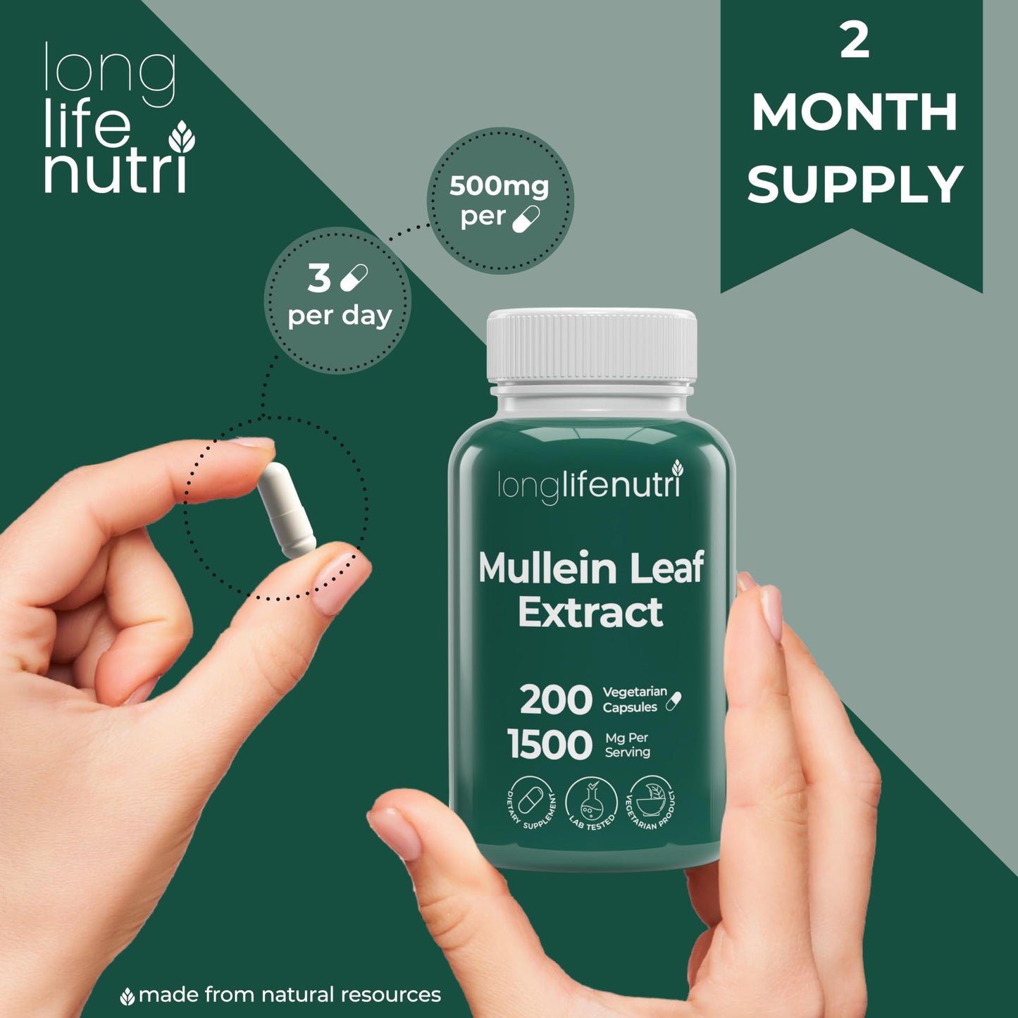 LongLifeNutri Mullein Leaf 1500mg 10:1 Extract - 200 Vegetarian Capsules