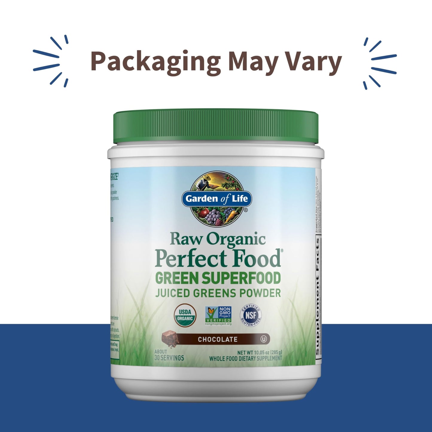 Garden of Life Raw Organic Perfect Food Green Superfood Juiced Greens Powder - Chocolate, 30 Servings