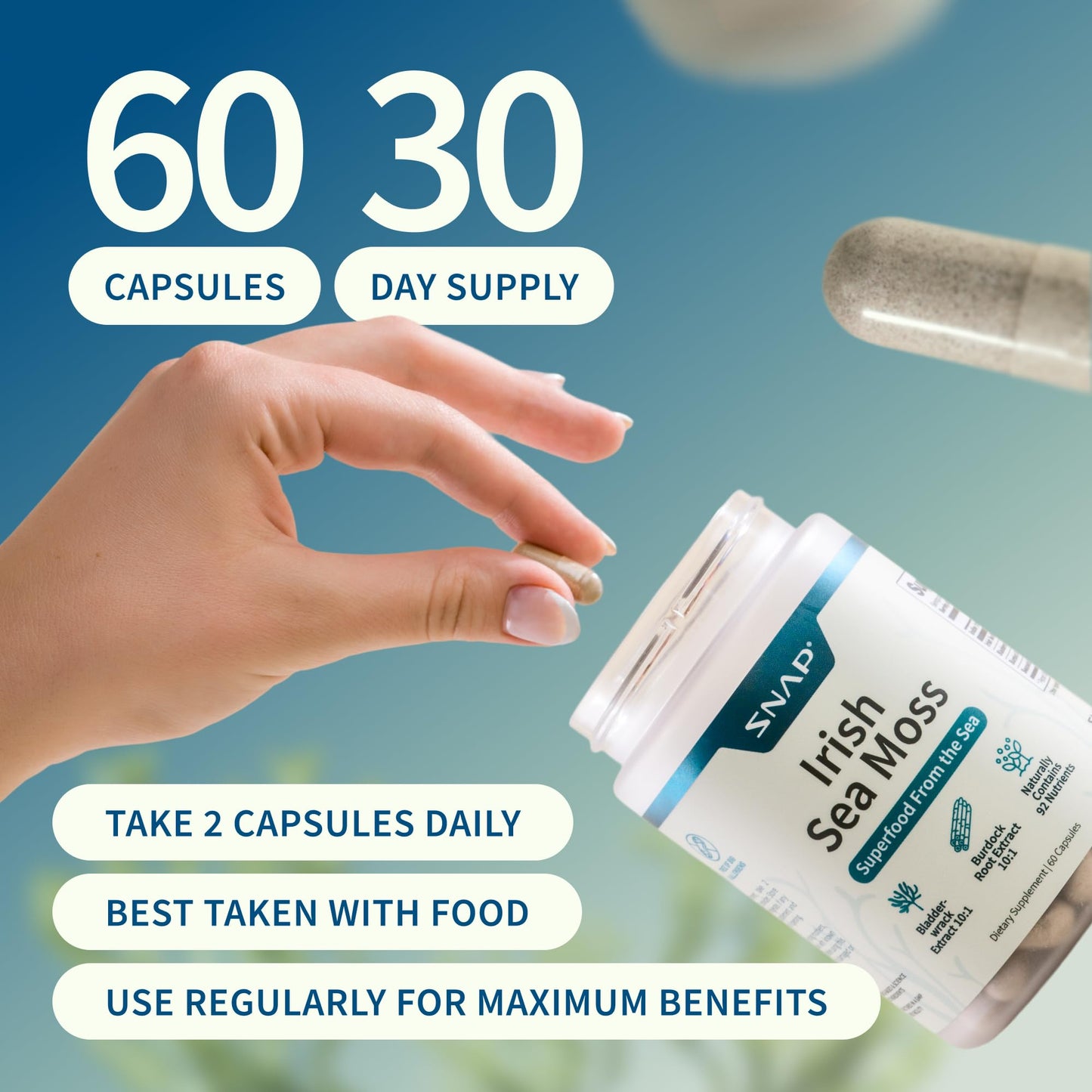Snap Supplements Irish Sea Moss with Bladderwrack, Burdock Root & Iodine – Natural Sea Moss Supplement to Support Gut Health, Energy & Healthy-Looking Skin, 60 Capsules