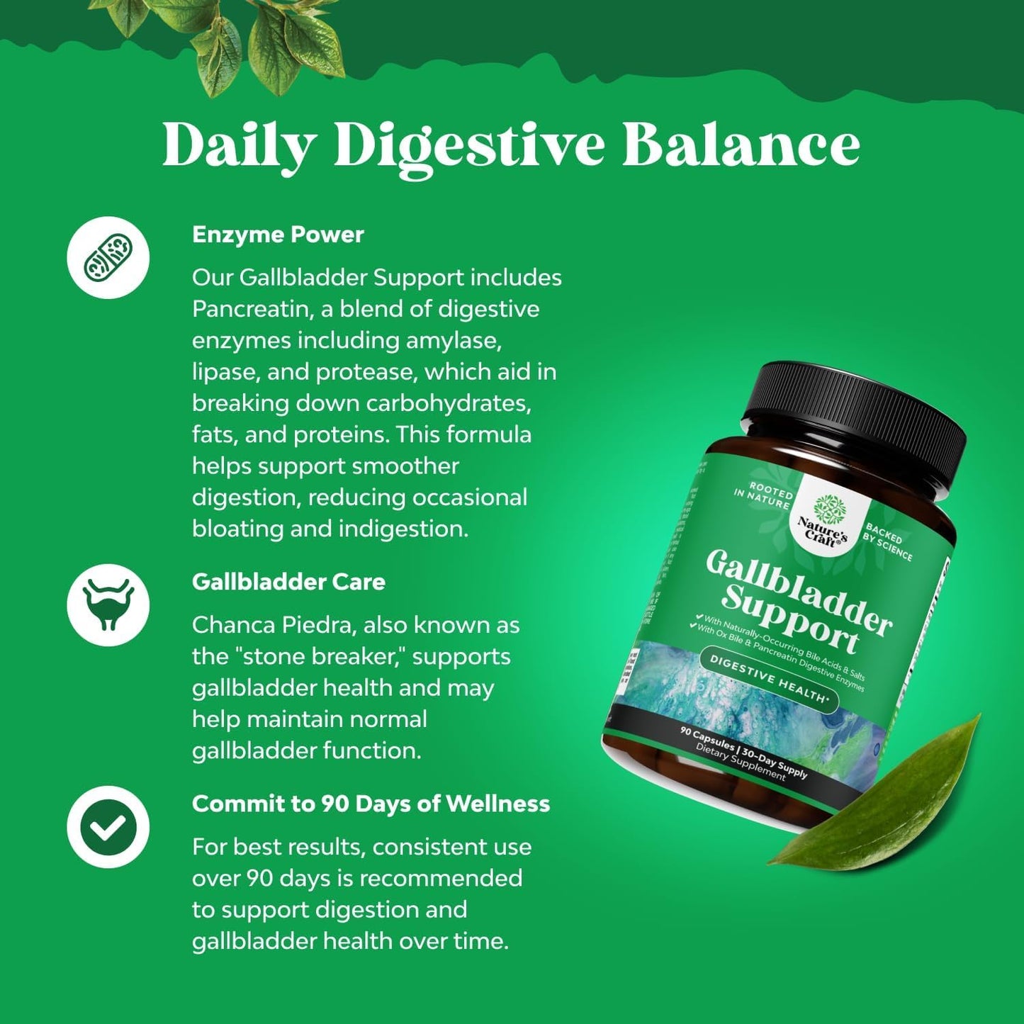 Natures Craft Gallbladder Support Digestive Enzymes with Ox Bile Capsules 90 Count
