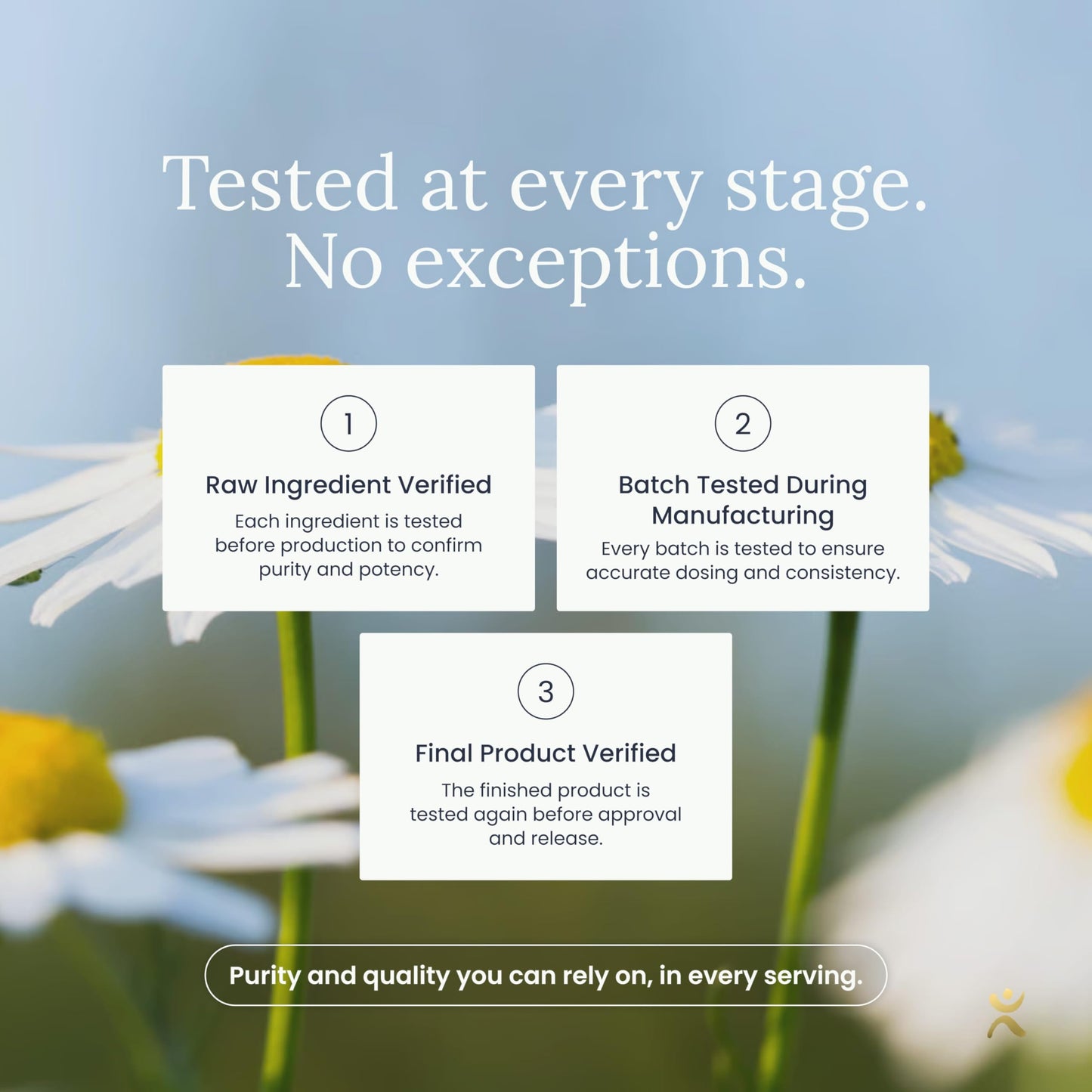 Infinity Greens Stress Relief Adaptogen Mood Support Capsules with Passion Flower, Skullcap, and Chamomile, 120 Capsules