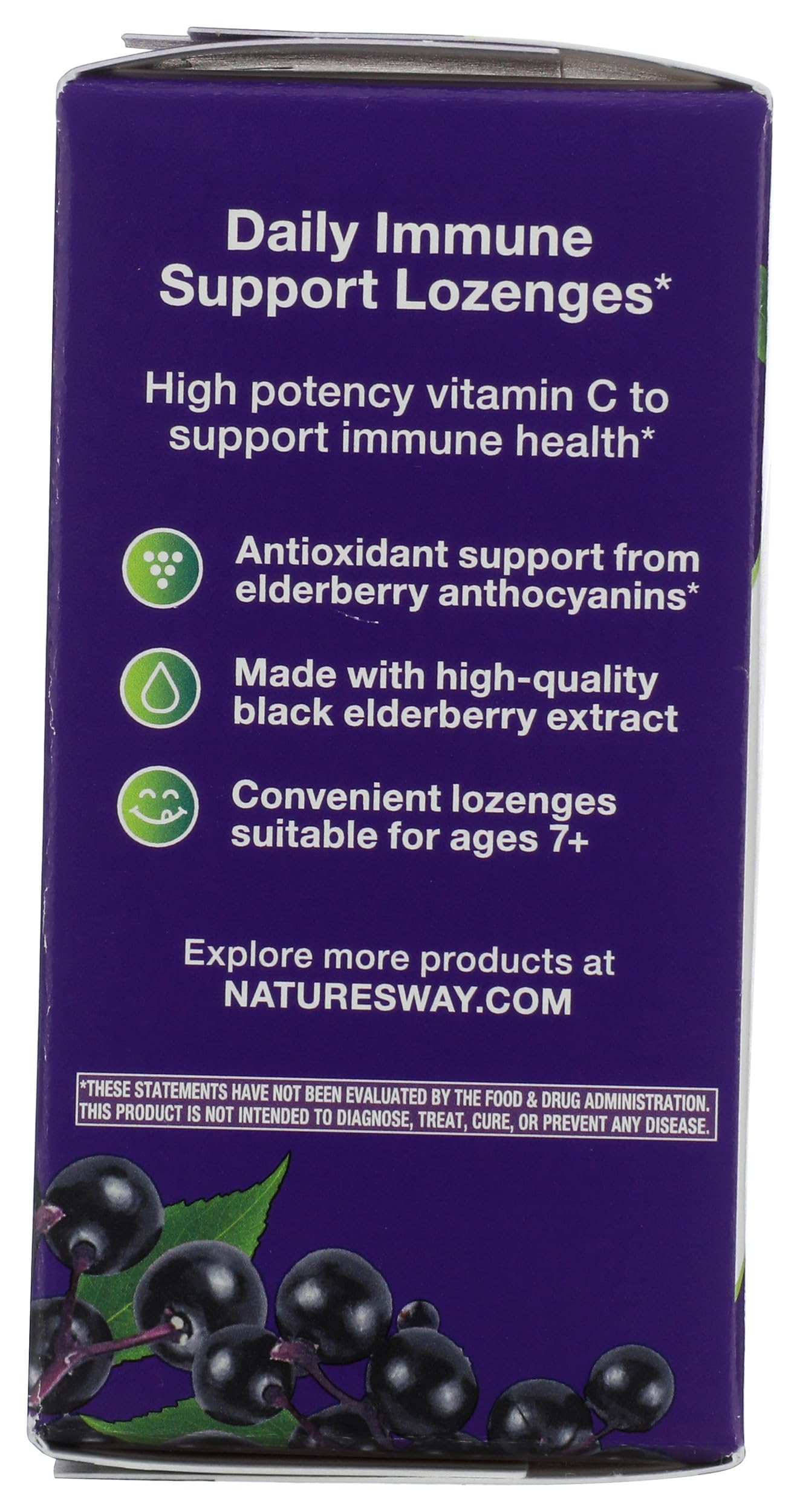Nature's Way Sambucus Original Elderberry Tablets 30