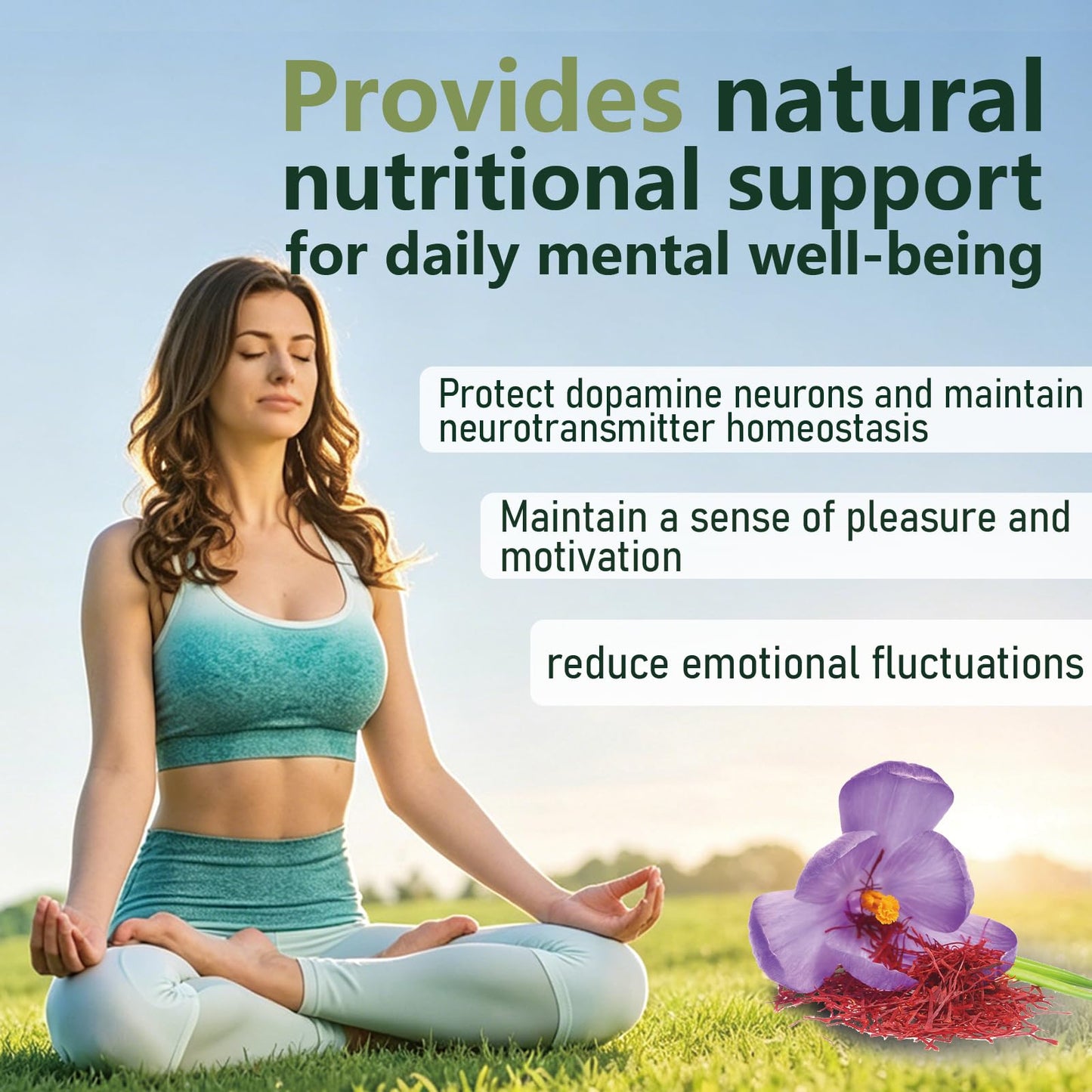 Lytavia Zafira Organics Recovery Foundation Capsules, 60 Capsules