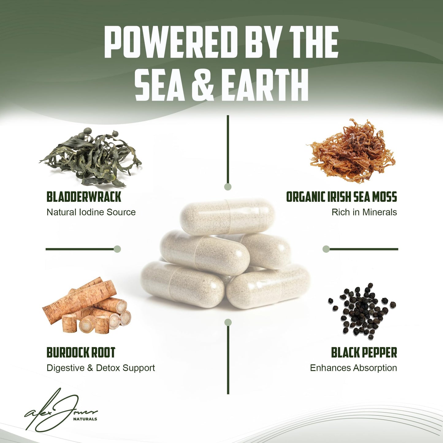 Alex Jones Naturals Organic Irish Sea Moss with Bladderwrack & Burdock Seamoss Capsules 60 Count
