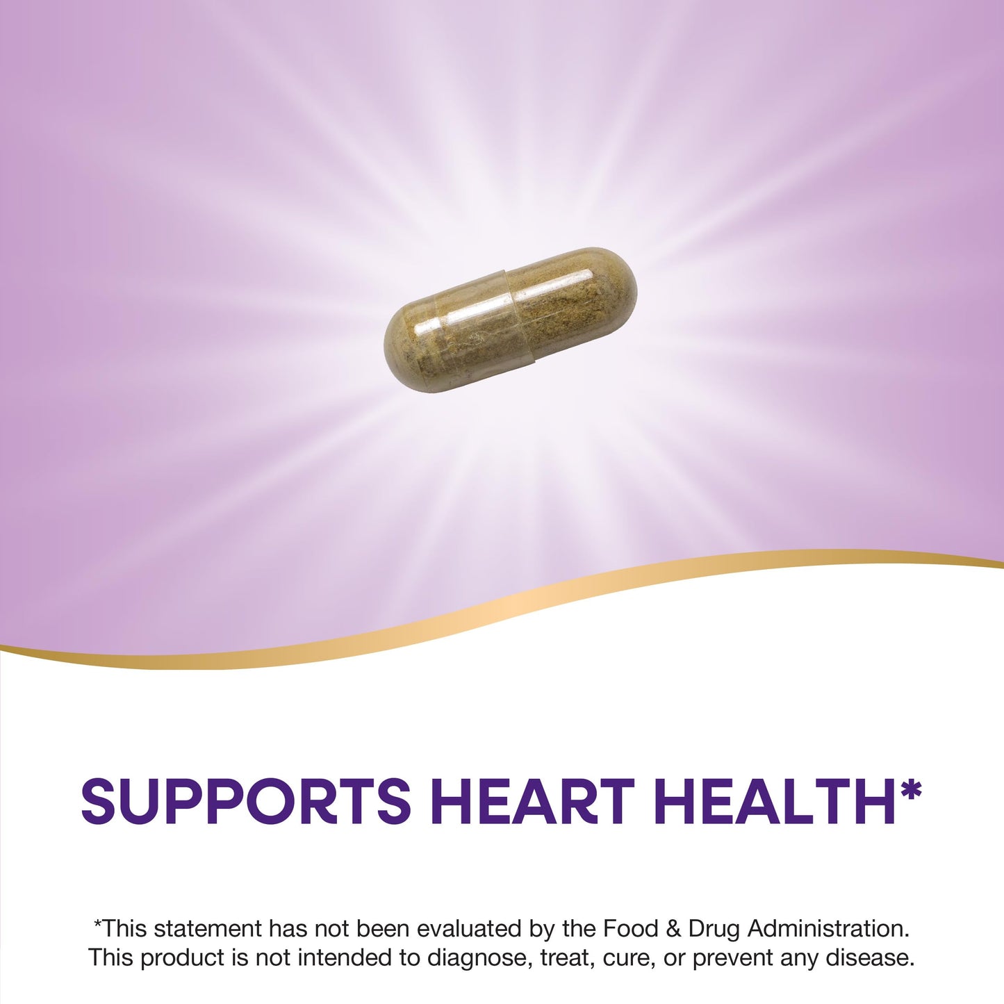 Nature's Way Olive Leaf Premium Extract Capsules 60