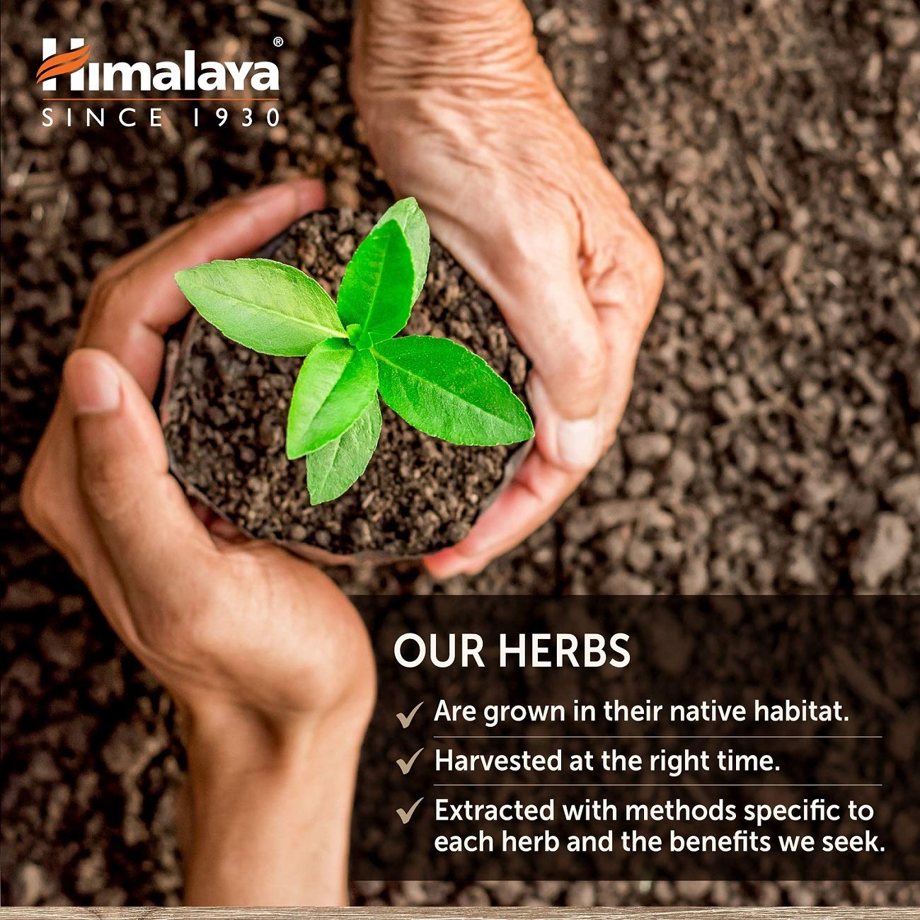 Himalaya HeartCare Capsules 240