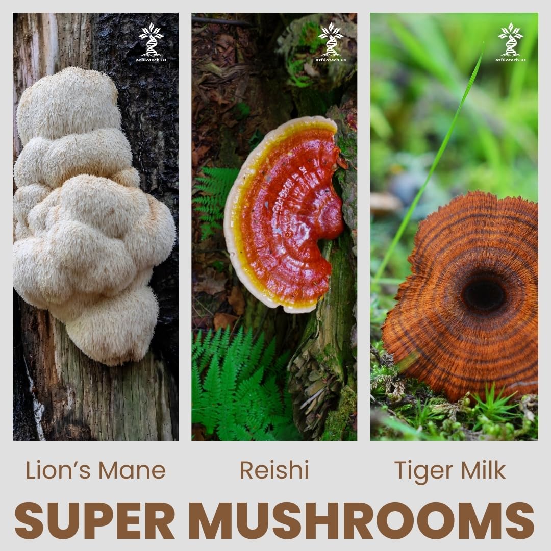 AZ BIOTECH Super Mushrooms Extract Capsules, 90 Count