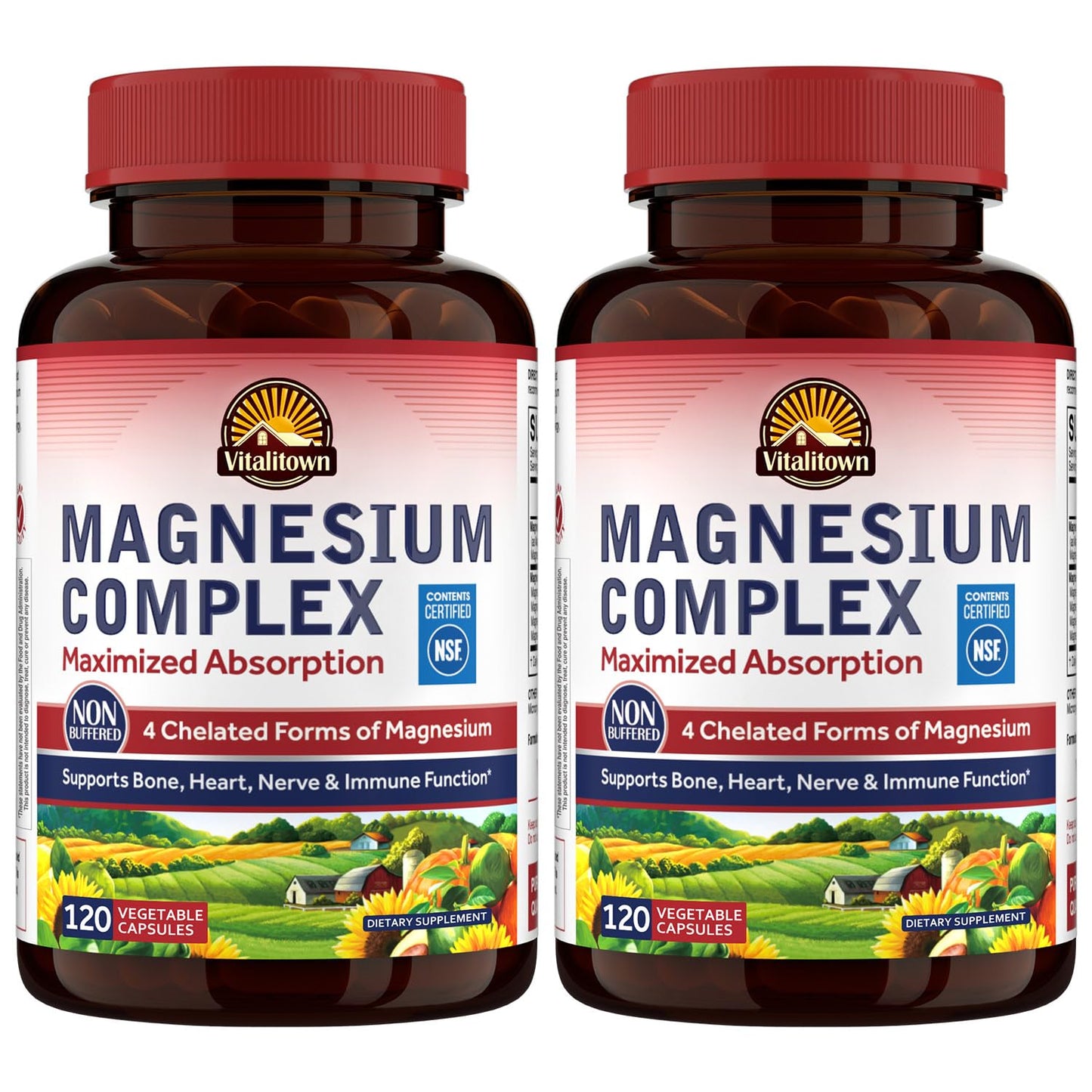 Vitalitown Magnesium Complex Supplement 500mg Capsule, 240 Capsules