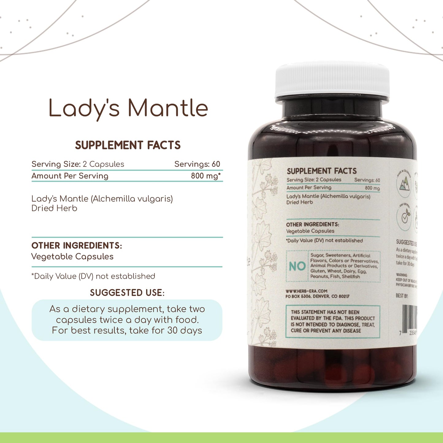 HerbEra Lady's Mantle 400 mg Dried Herb Capsules, 120 Count