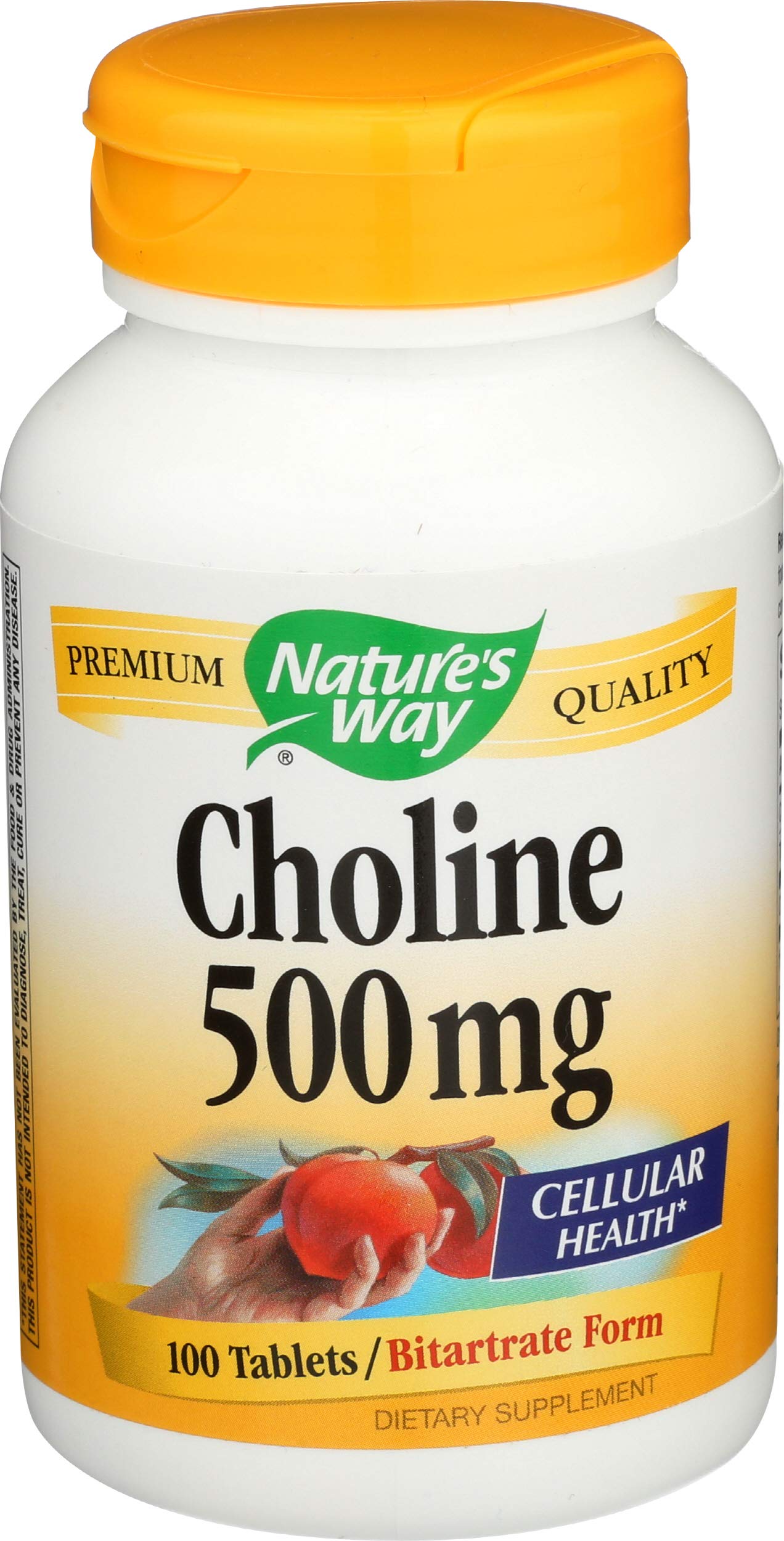 Nature's Way Choline 500mg Tablet, 100 Tablets