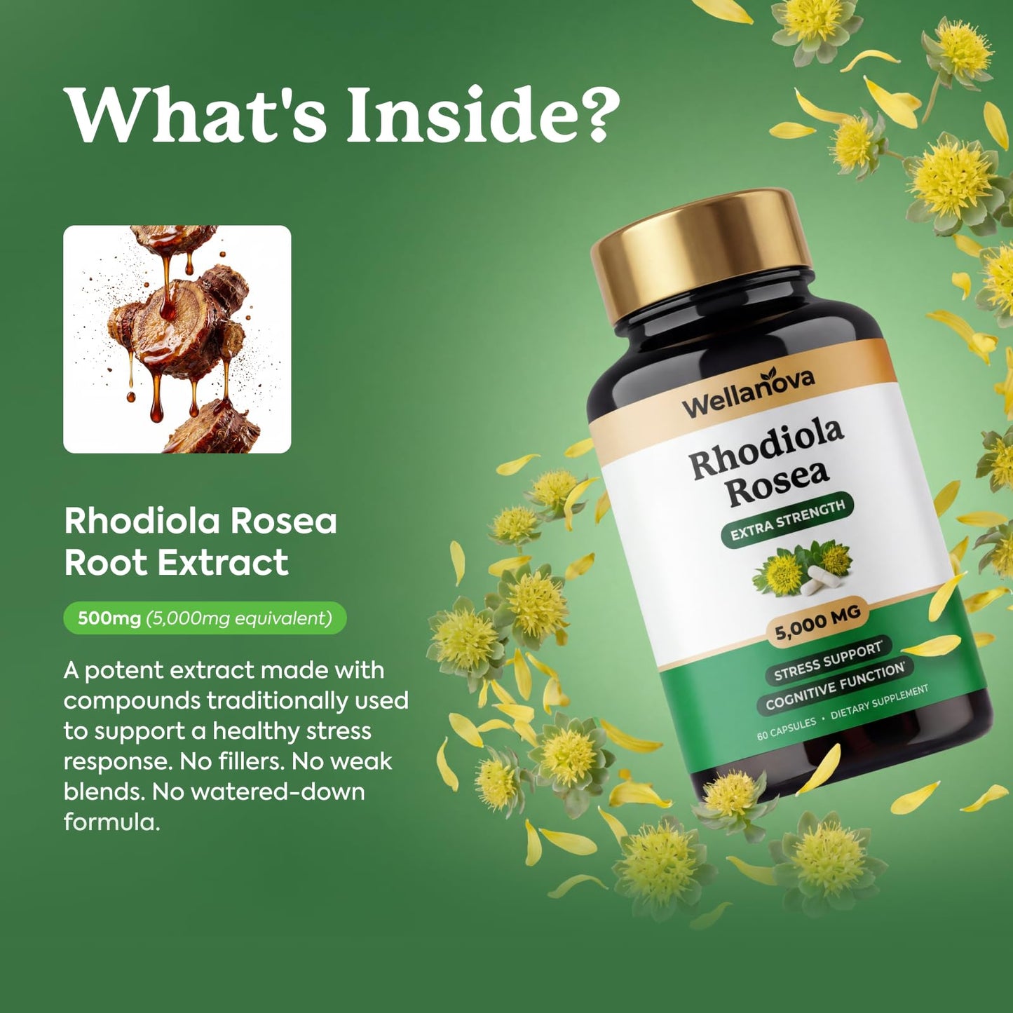 Wellanova Rhodiola Rosea Supplement Capsules 60 Capsules